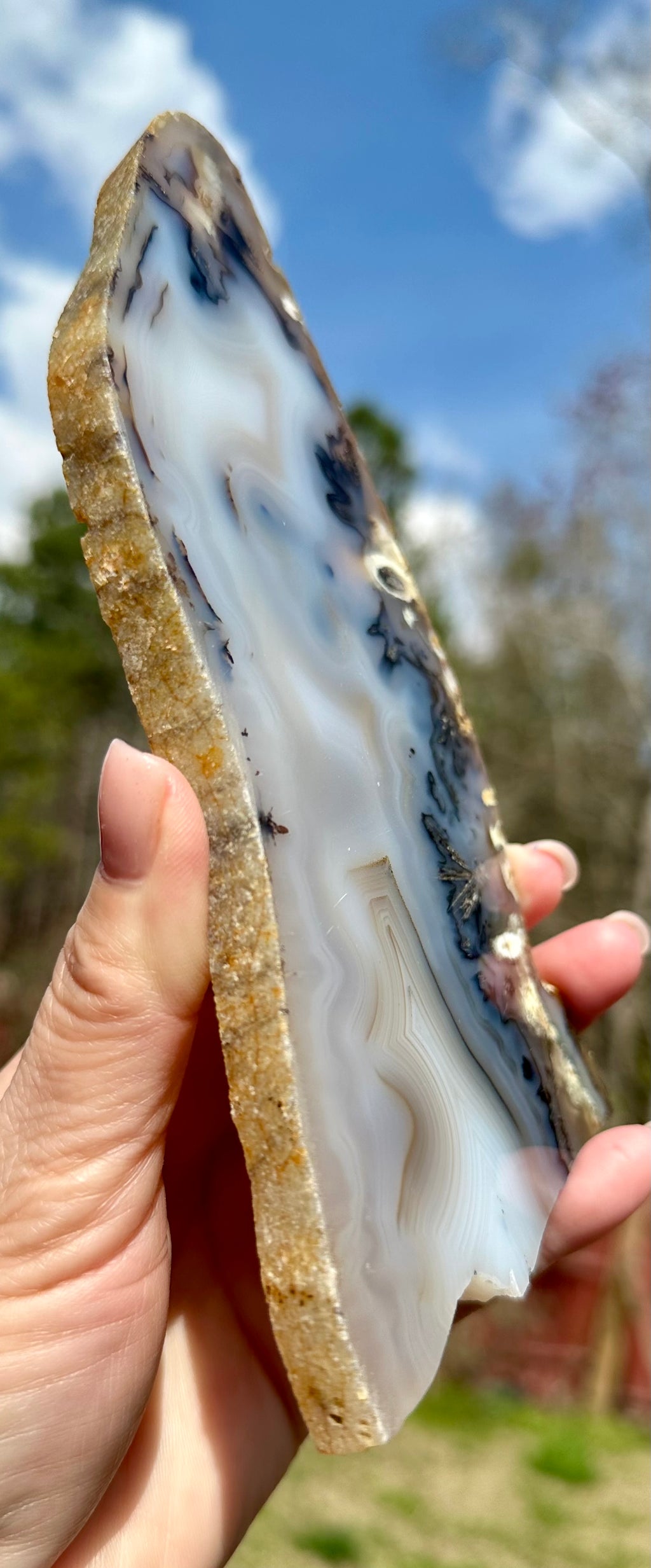 Dendritic Agate Set — Slab, Freeform & Point from Madagascar