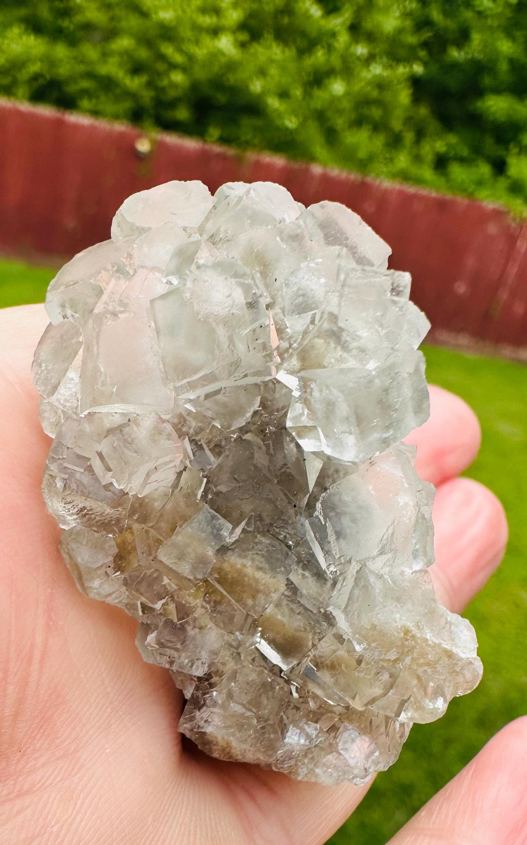 45 Grams  Pristine Water Clear Cubic Fluorite Cluster from China