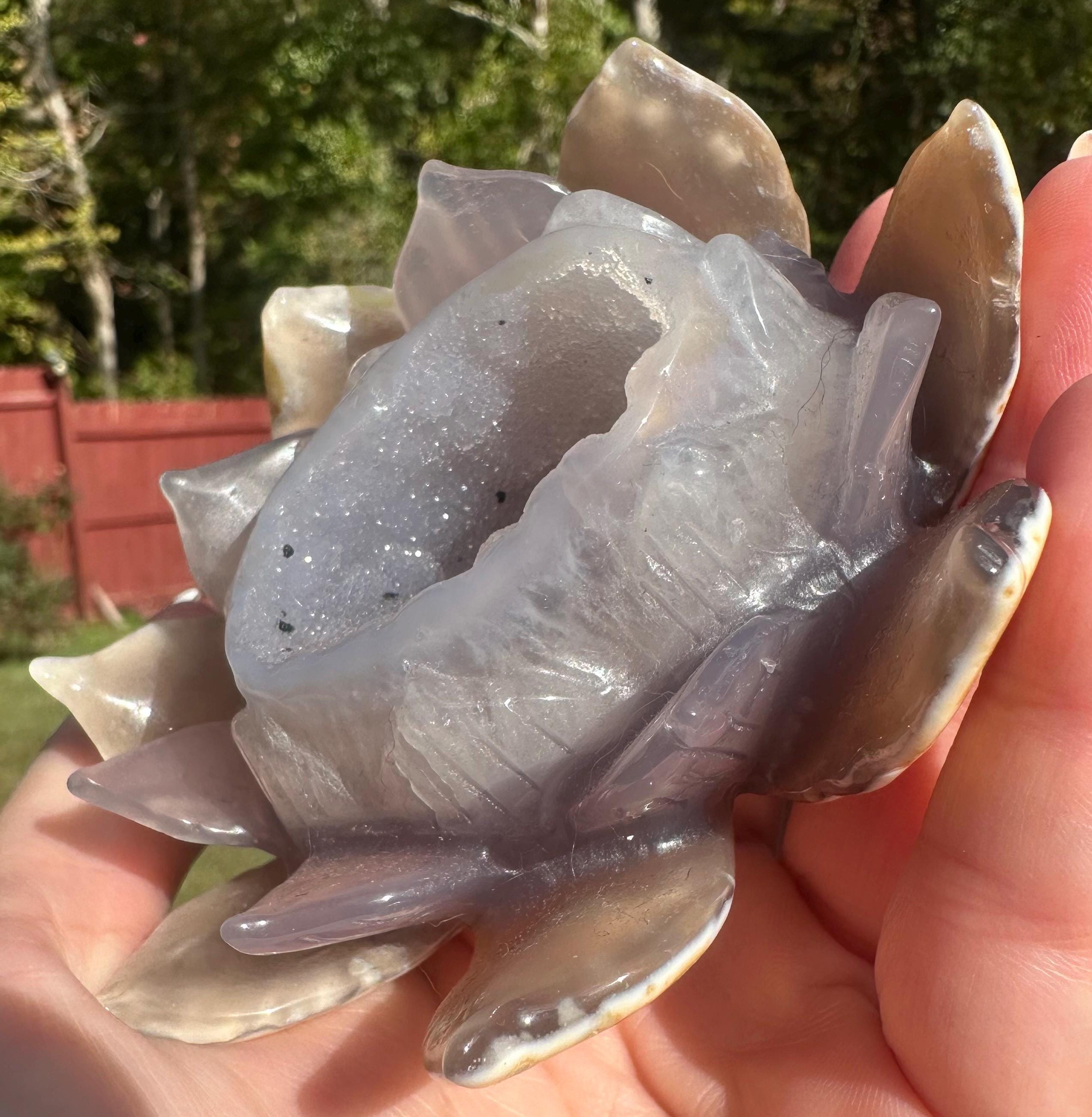 331 Grams Druzy Agate Lotus Carving