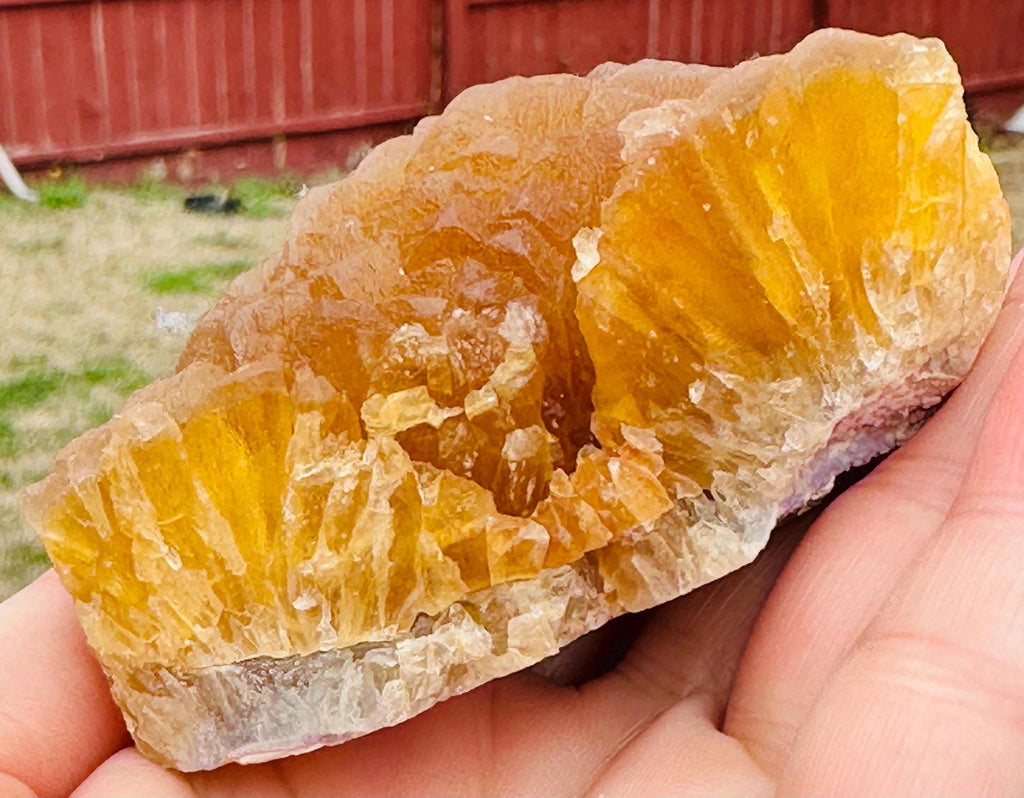 300 Grams Rich color Botroydal / Bubble Yellow Fluorite from China