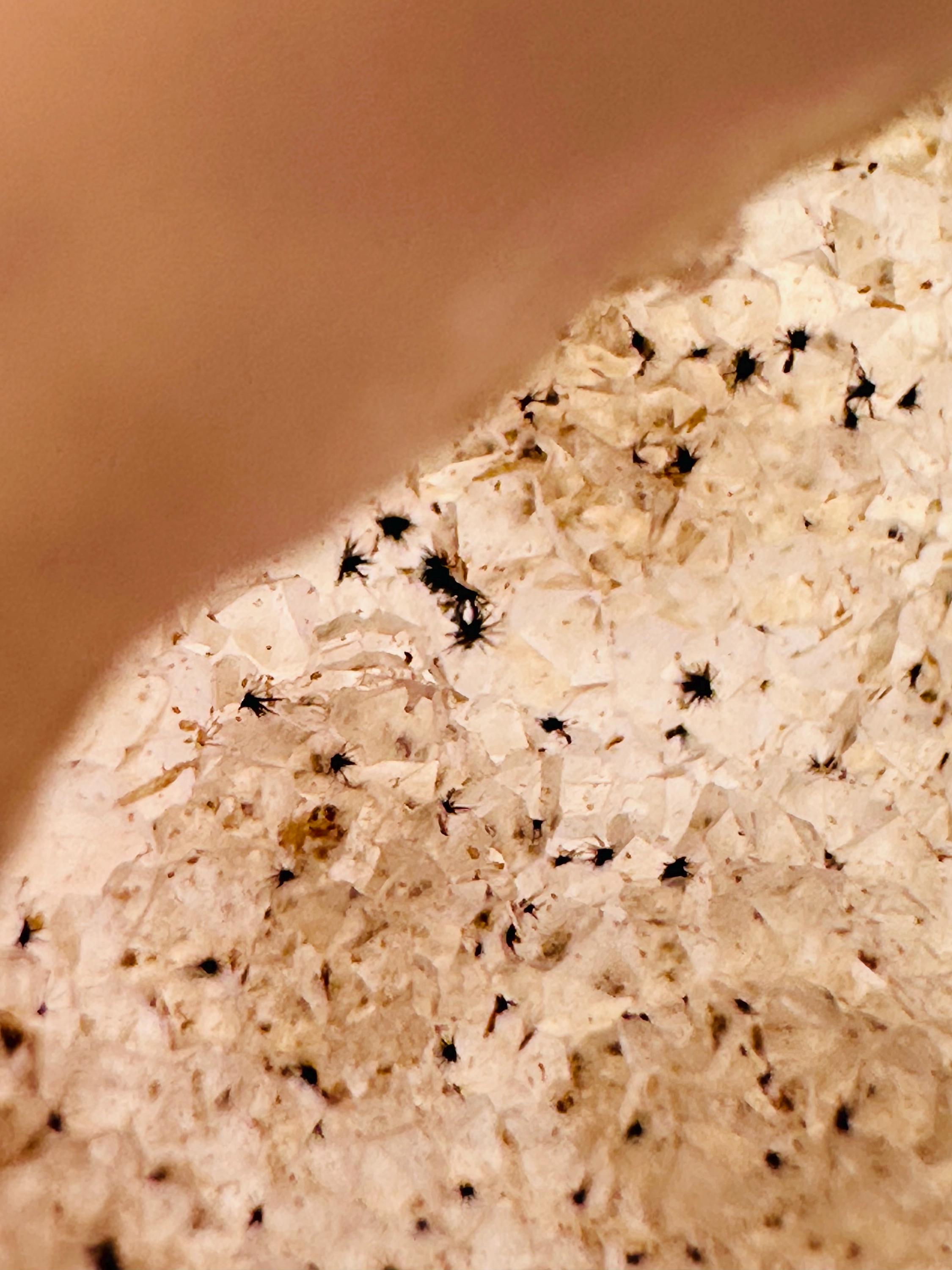 275 Grams Sparkling Pink Agate Star with Druzy & NATURAL Hollandite Stars! (with custom wooden stand)