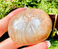 509 Grams of Harmonious Duo: Peach Moonstone Sphere & Flashing Palm Stone Set