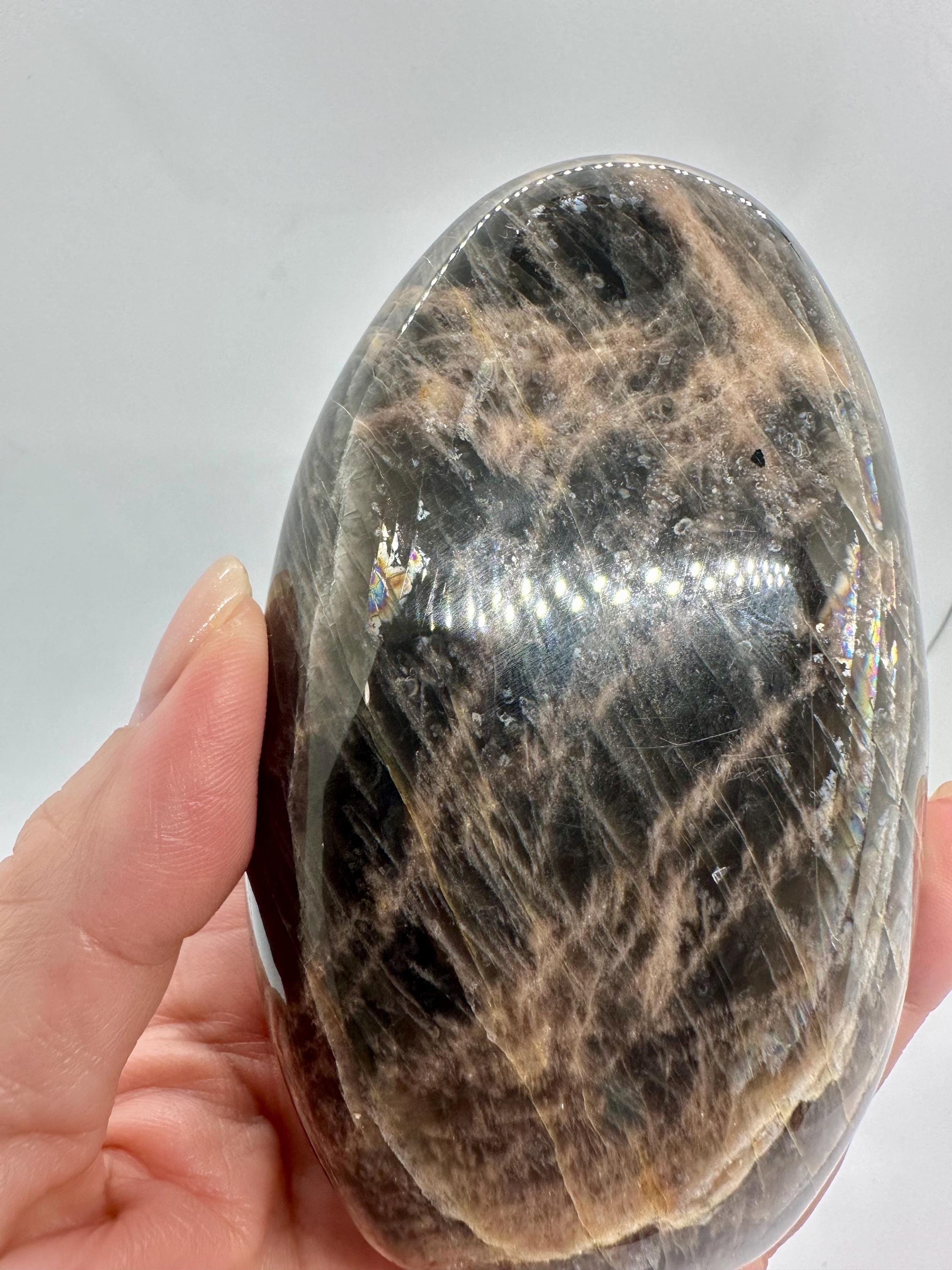 596 Grams Black Moonstone with Rainbows Free Form Madagascar