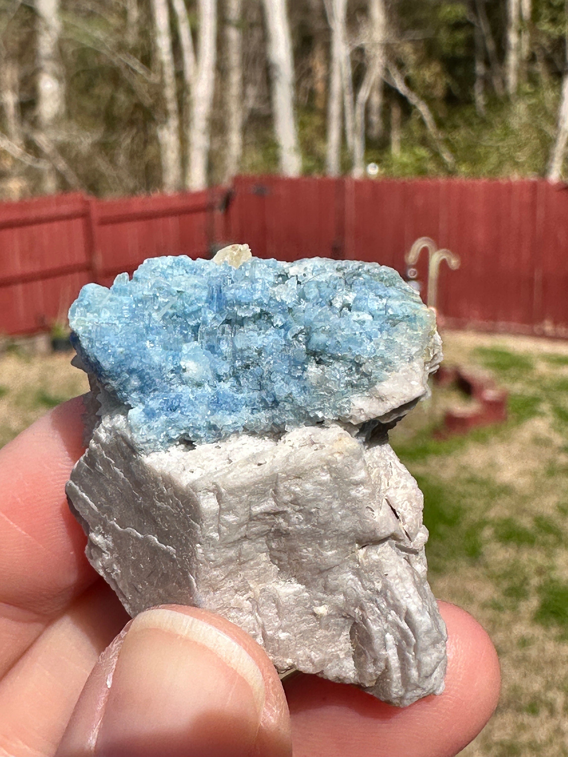 24 Grams / 120 cts Rare Rich Blue Alkali Beryl Crystal Bunch on Albite matrix from Afghanistan