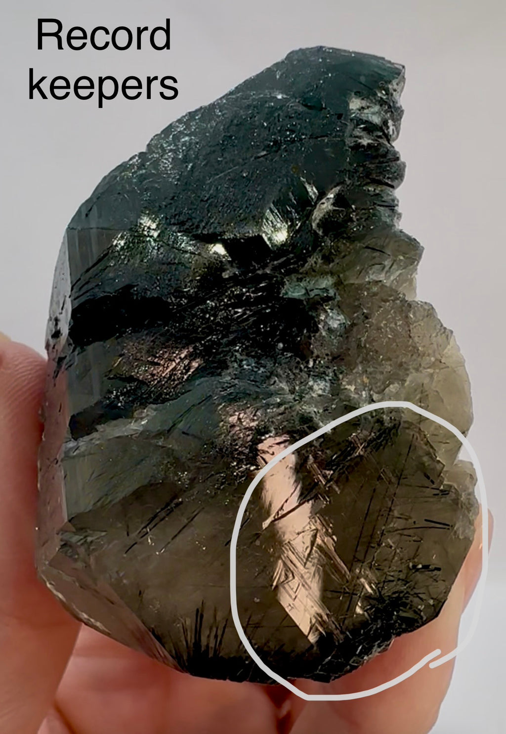 148 Grams Riebeckite-Rich Gwindel‑Like Quartz with Multiple Record Keepers — Skardu, Pakistan