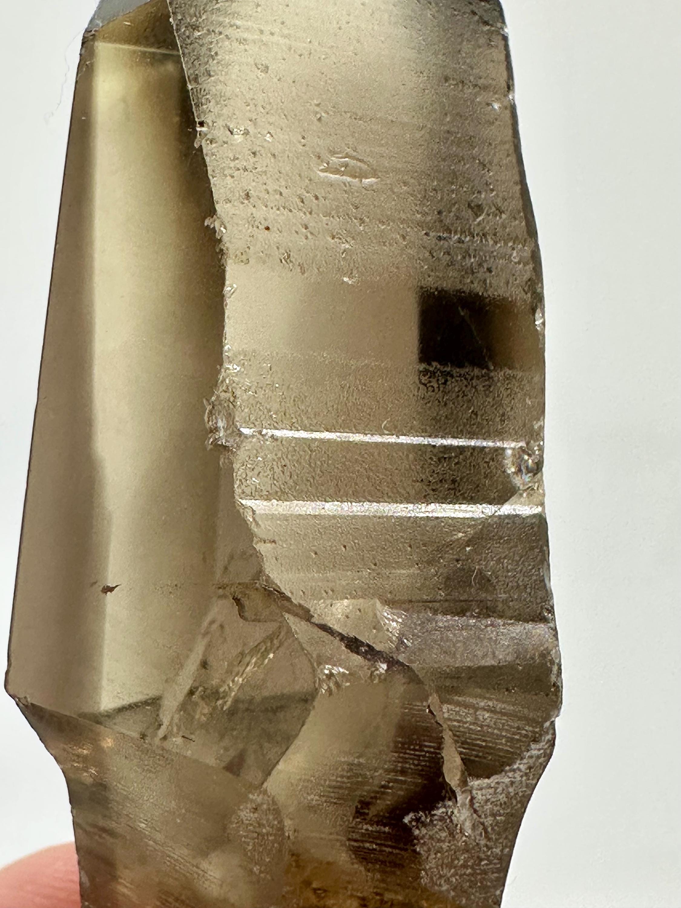 Your choice of Natural Polished Citrine & Smoky Citrine Scepters with Phantoms from Madagascar