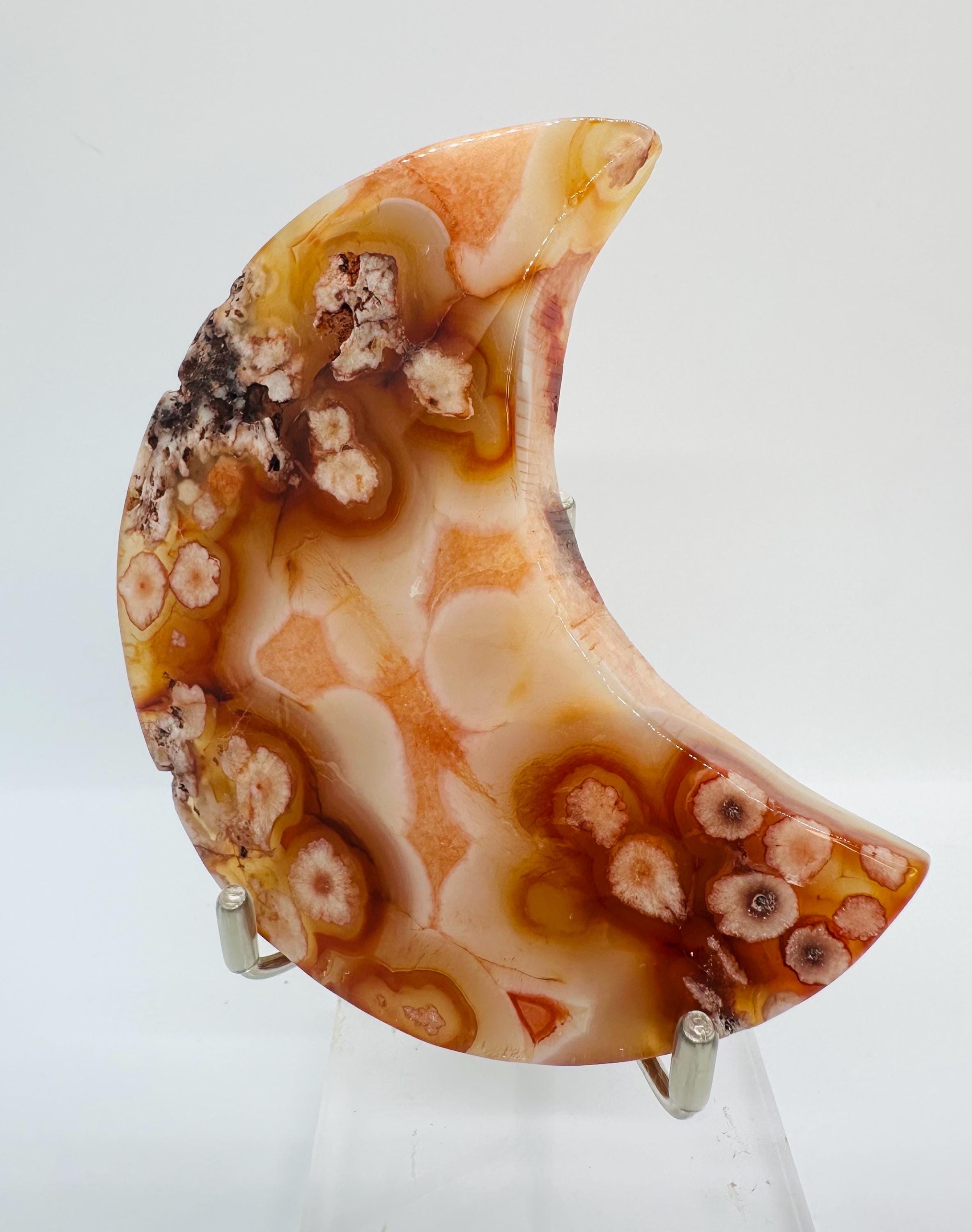 222 Grams Carnelian & Flower Agate Crescent Moon From Madagascar
