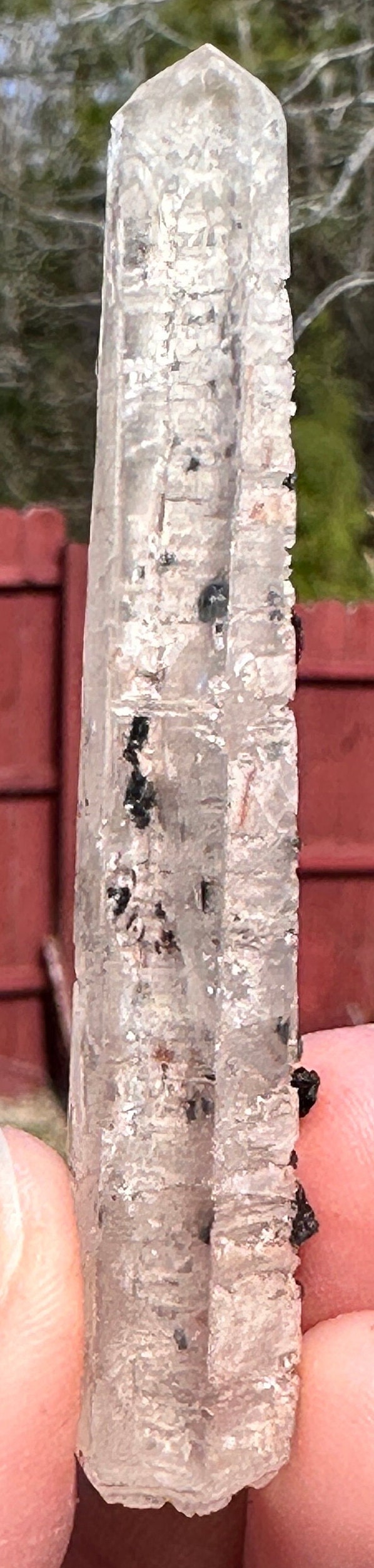 54 Grams very peculiar singing Pair of Clear Quartz Points with Specularite Rosettes
