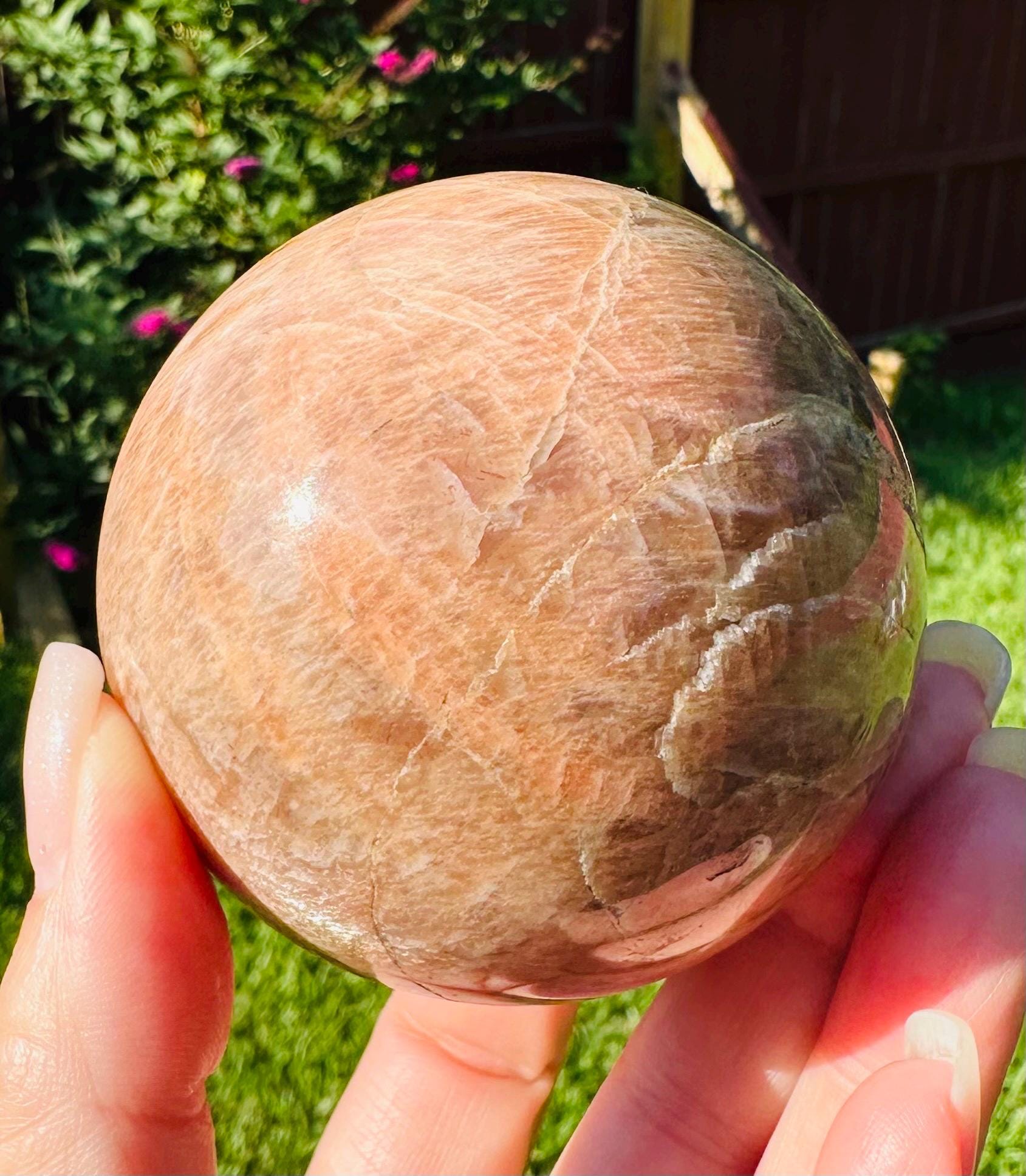 509 Grams of Harmonious Duo: Peach Moonstone Sphere & Flashing Palm Stone Set