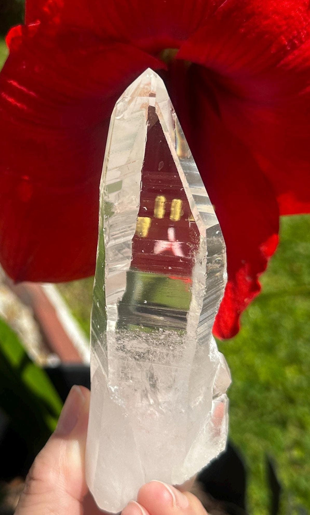 200 Grams Stunning Diamantina Glass Clear Muzo Habit Authentic Blue Needles Lemurian Quartz from Diamantina Mines of Minas Gerais