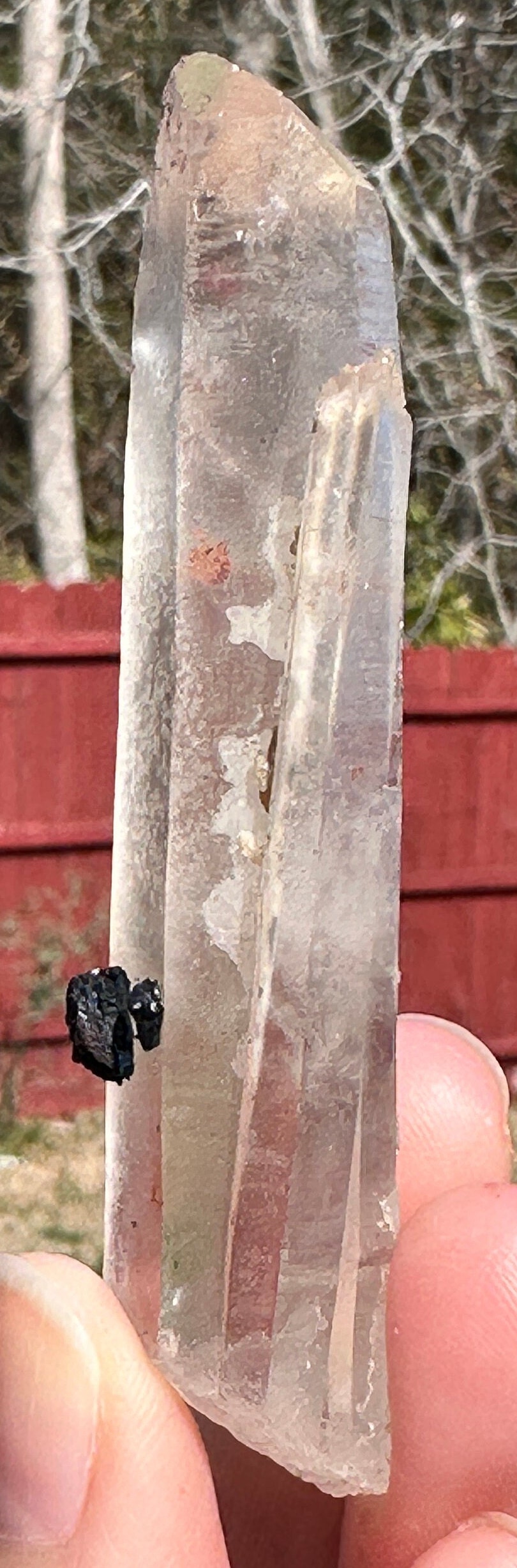 54 Grams very peculiar singing Pair of Clear Quartz Points with Specularite Rosettes