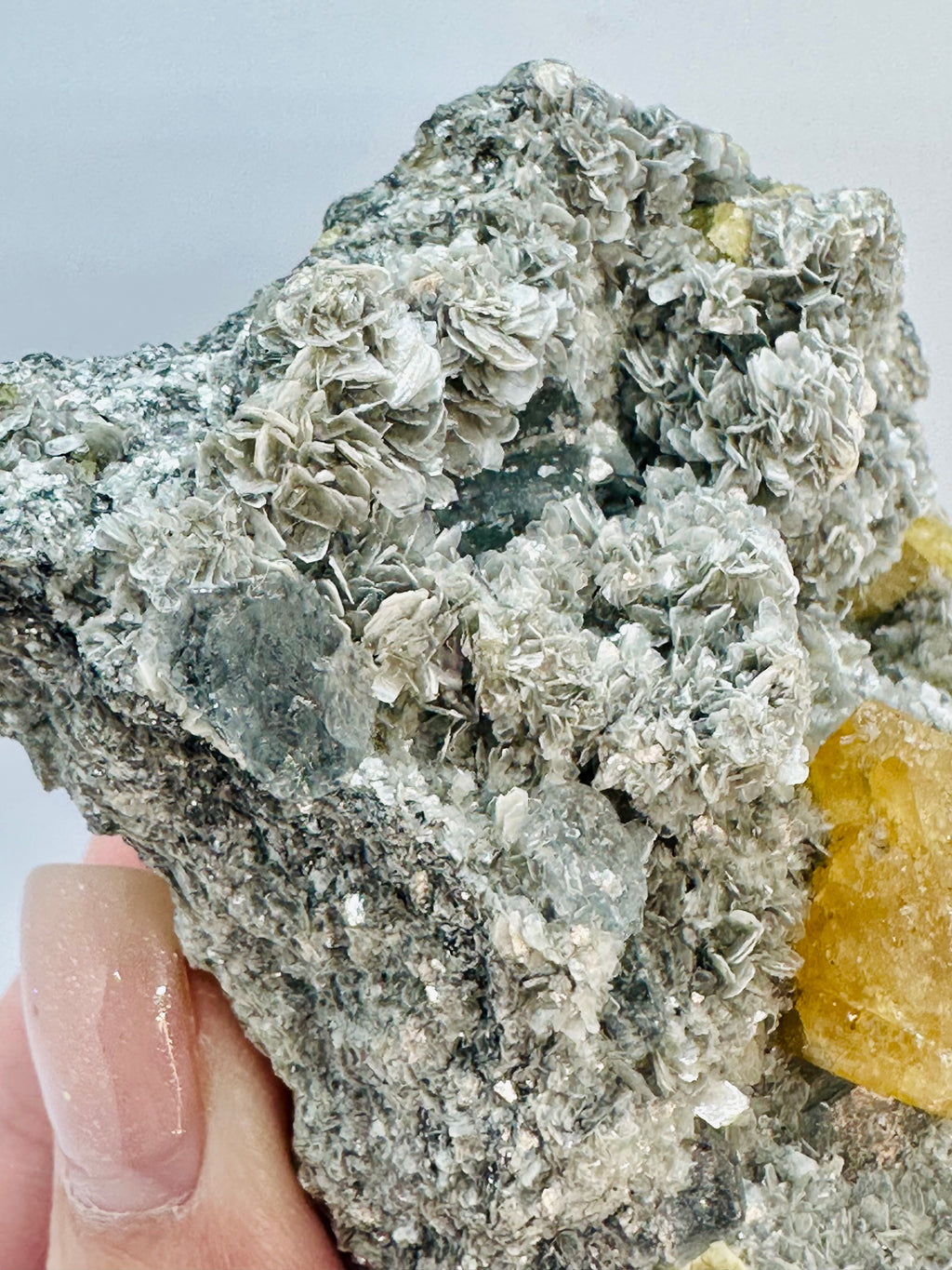 Clear Aquamarine, Golden Scheelite, and Silvery Muscovite from Mt. Xuebaoding, Pingwu County, Sichuan, China