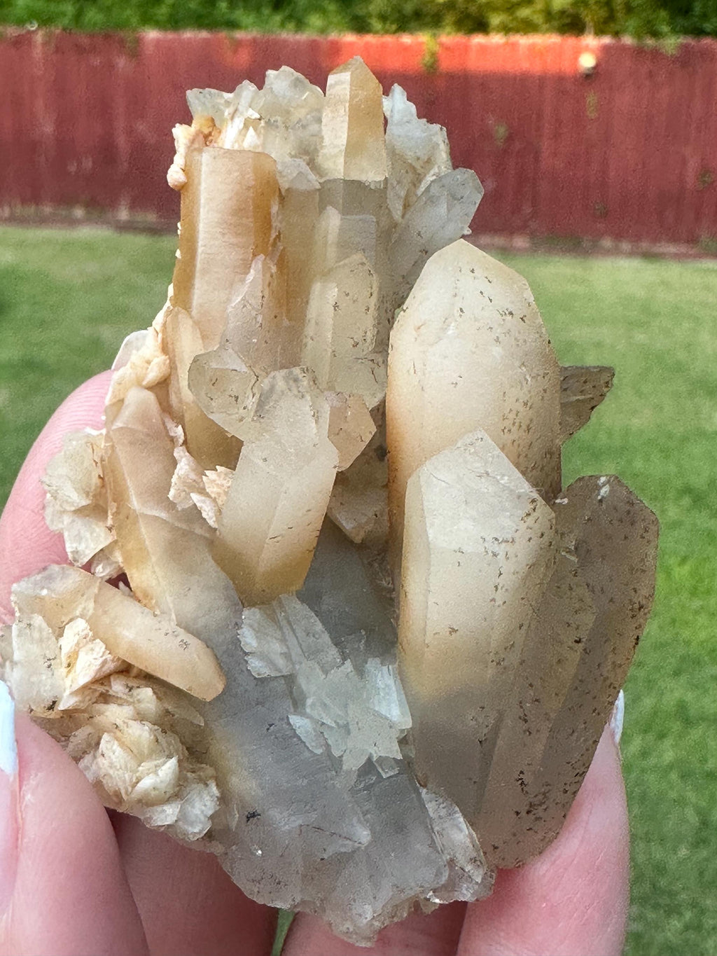 73 Grams Amphibole AKA Bone Quartz Cluster from Baluchistan, Pakistan