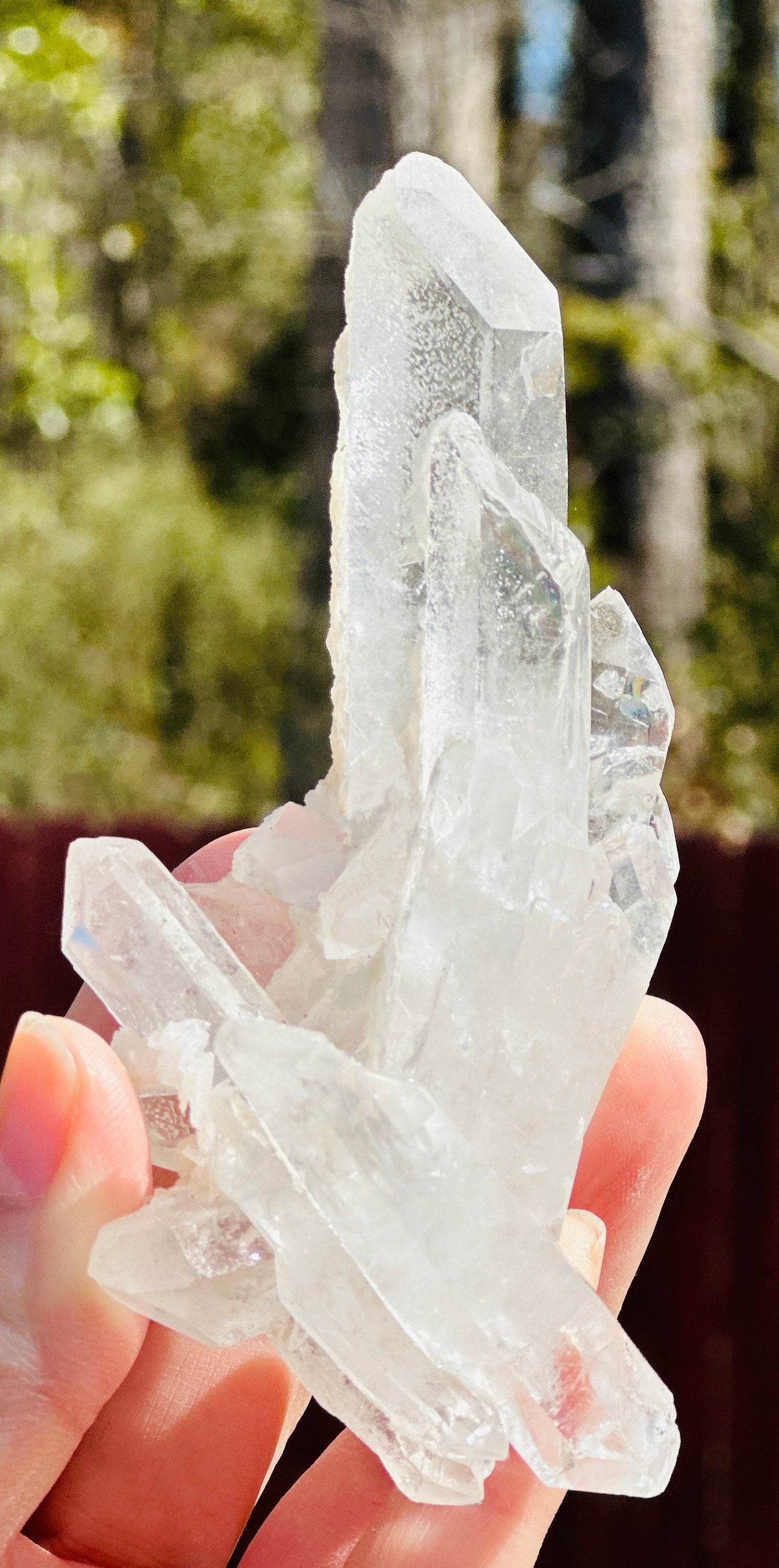 157 Grams Beautiful and Very Special Starbrary Point in a  Clear Quartz Cluster of several DT points.