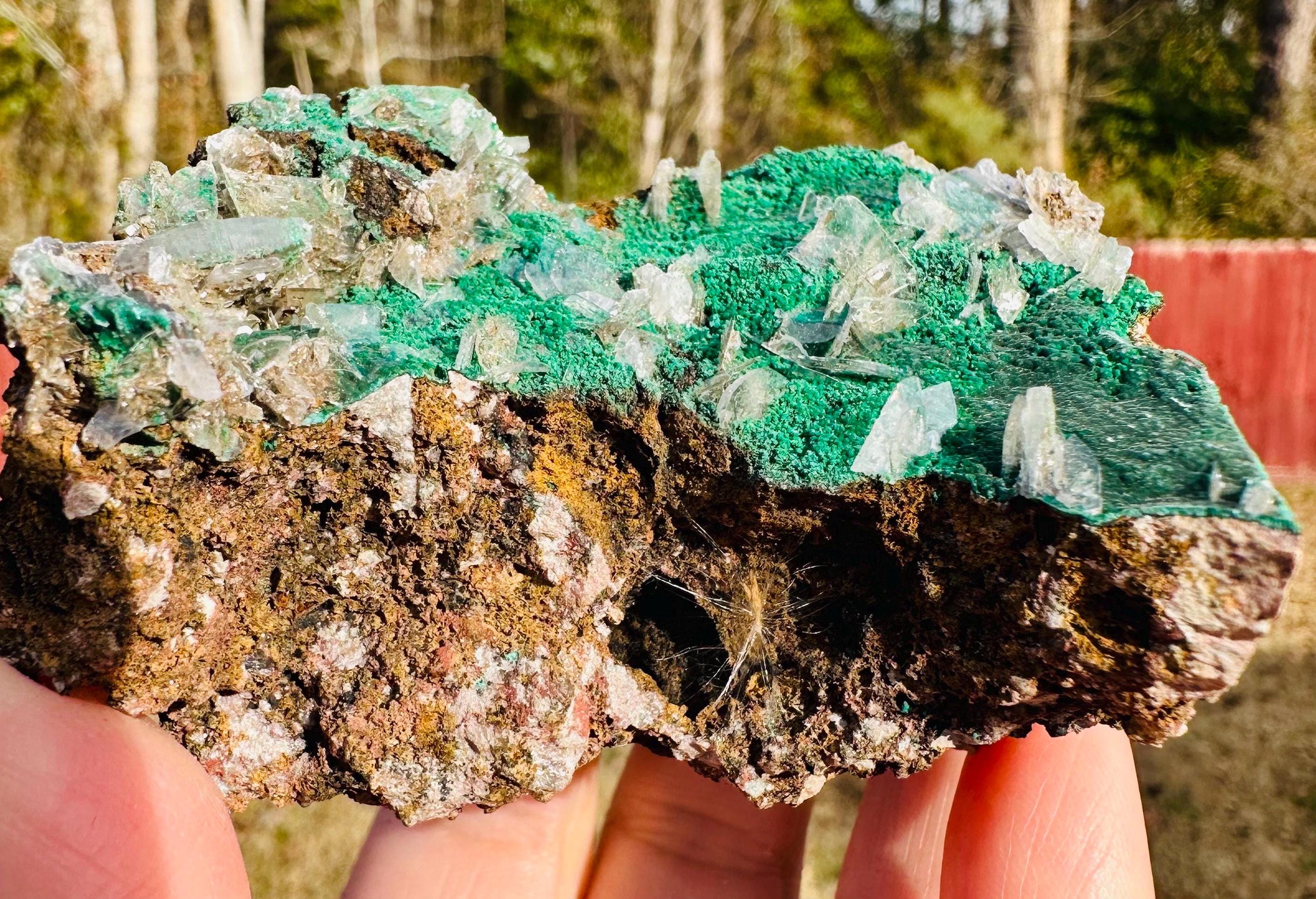 152 Grams Clear Barite blades in green "sandy granular like" Atacamite specimen from China