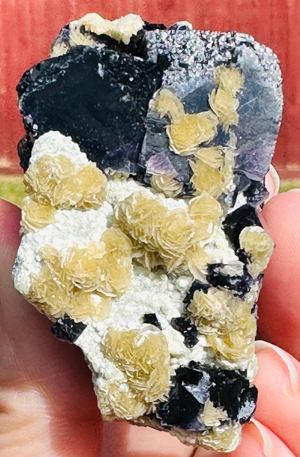 62 Grams Beautiful Unique Siderite Mini Roses in a Dark Purple Fluorite matrix from Inner Mongolia, China