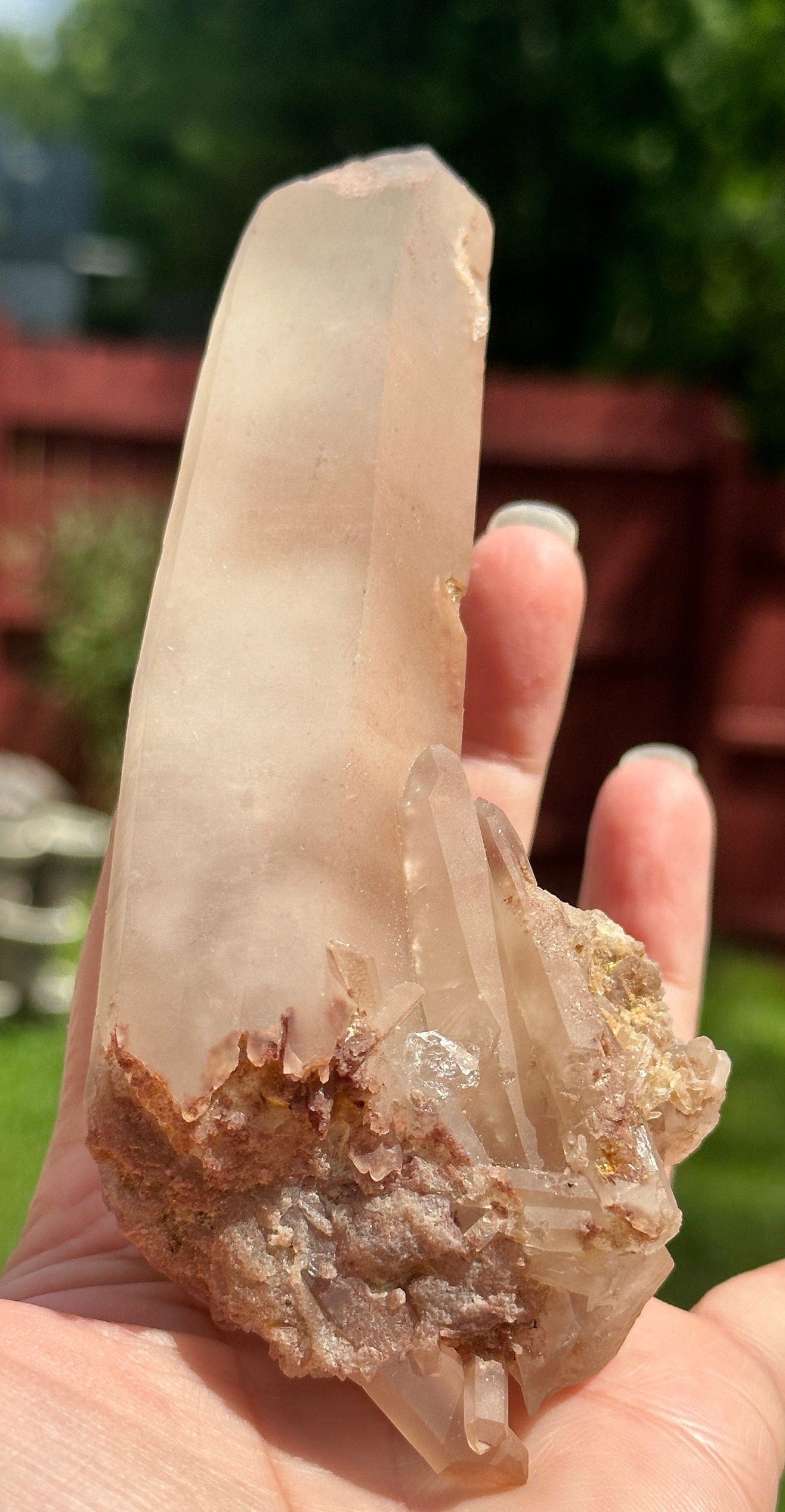 227 Grams Stunning Rich Pink Color Lithium Quartz "nest" Cluster from Brazil