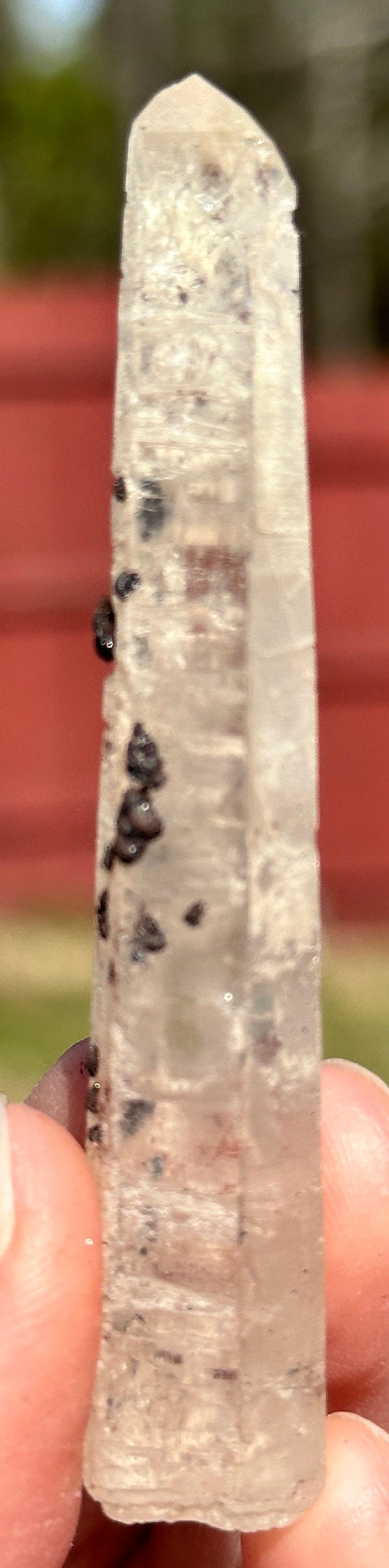 54 Grams very peculiar singing Pair of Clear Quartz Points with Specularite Rosettes