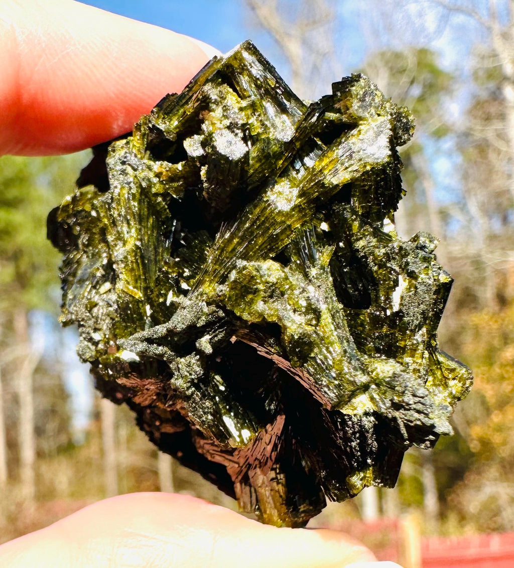 43 grams Lustrous Fan‑Like Intertwined Epidote Cluster — Shigar Valley, Pakistan