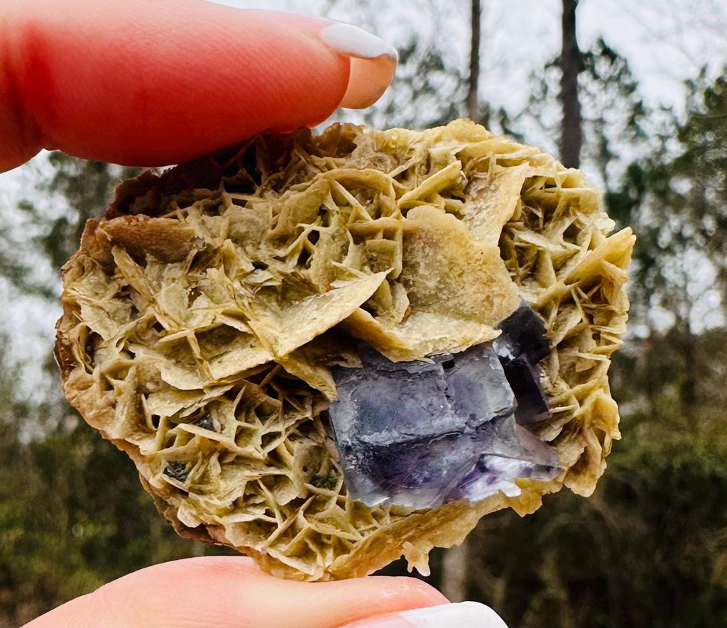 21 Grams Natural Beautiful Transparent Cubic Fluorite with purple phantom on a very Aesthetic Barite Formation