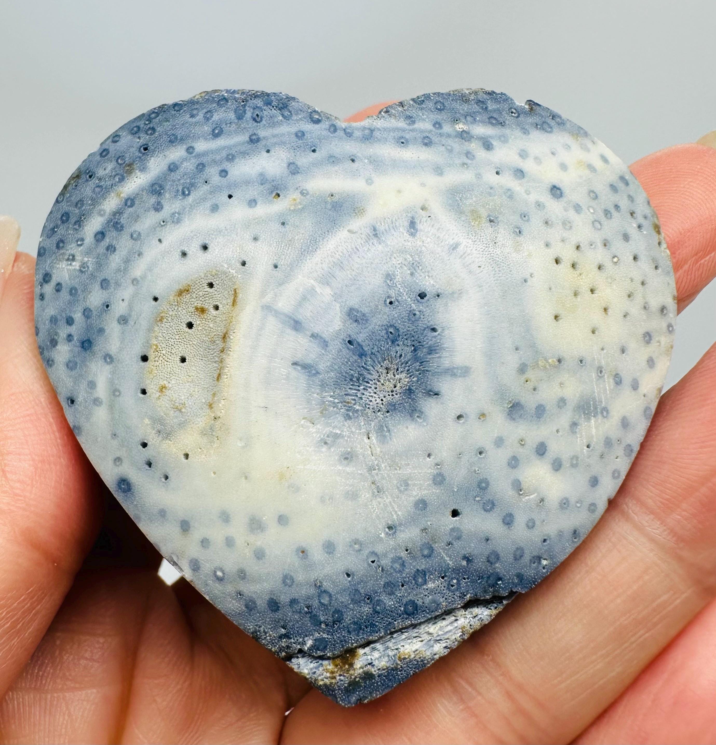 Blue Coral Crystal Set from Indonesia