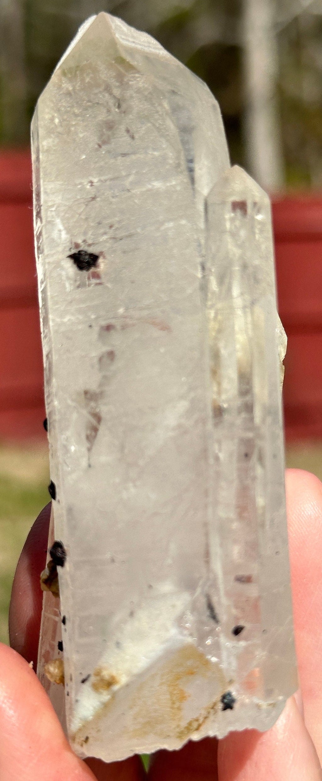 125 Grams Clear Quartz Point with mini Specularite Rosettes
