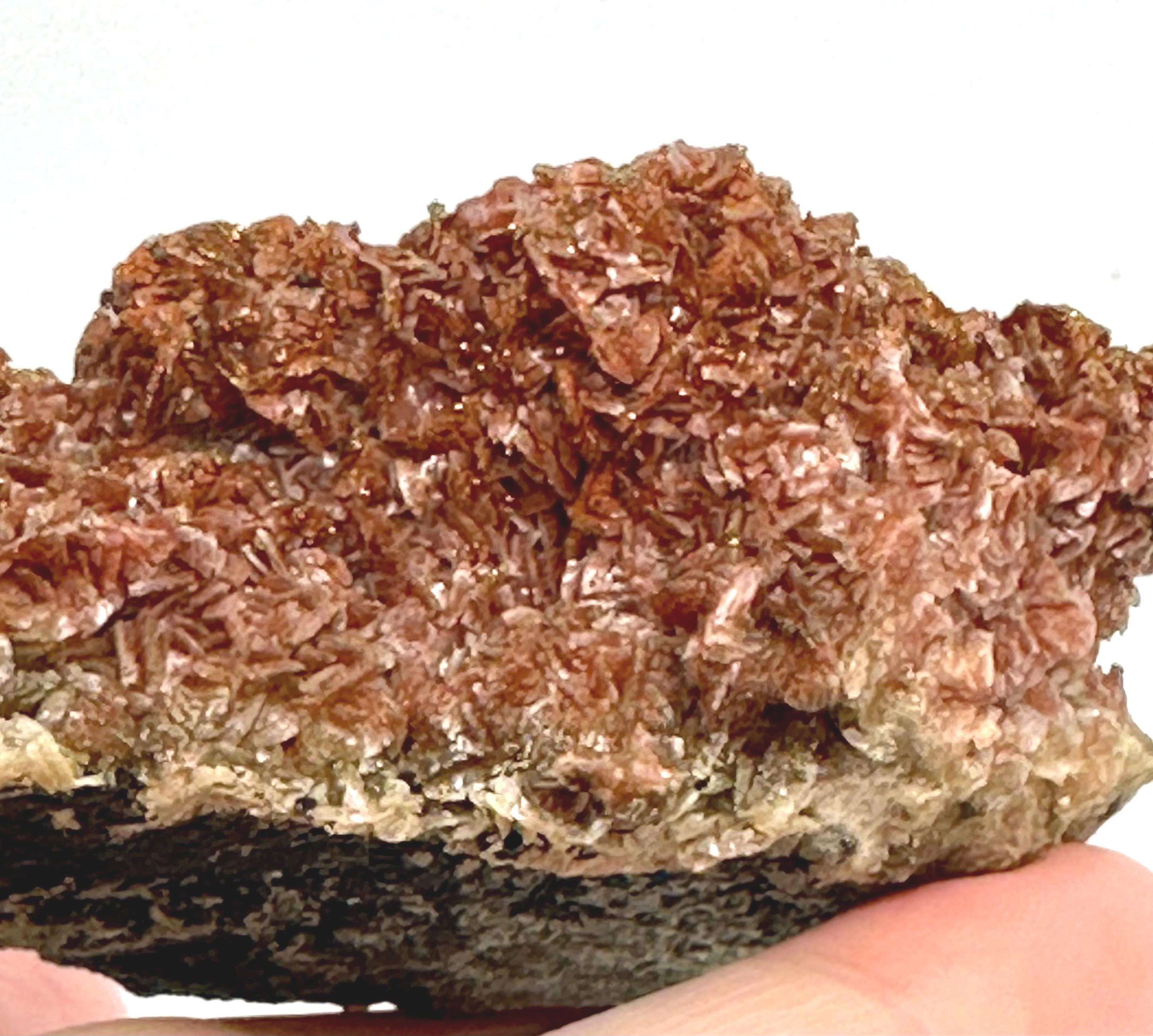 154 Grams One-of-a-Kind Bronze Barite with Pyrite Cubes, Petal-Like Crystal Formation from Morocco  Collector must Have