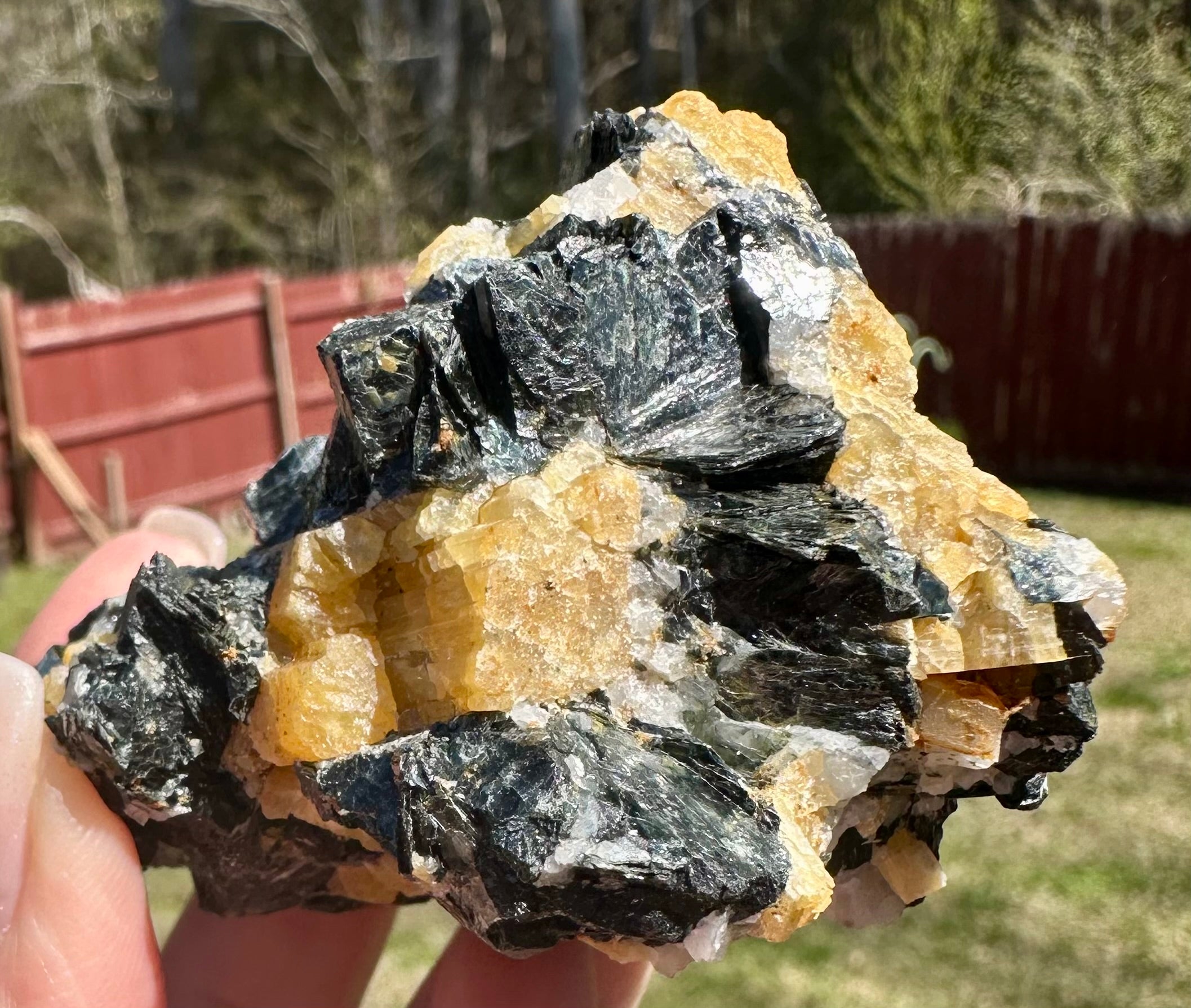 Brazilian Yellow Tourmaline in Biotite