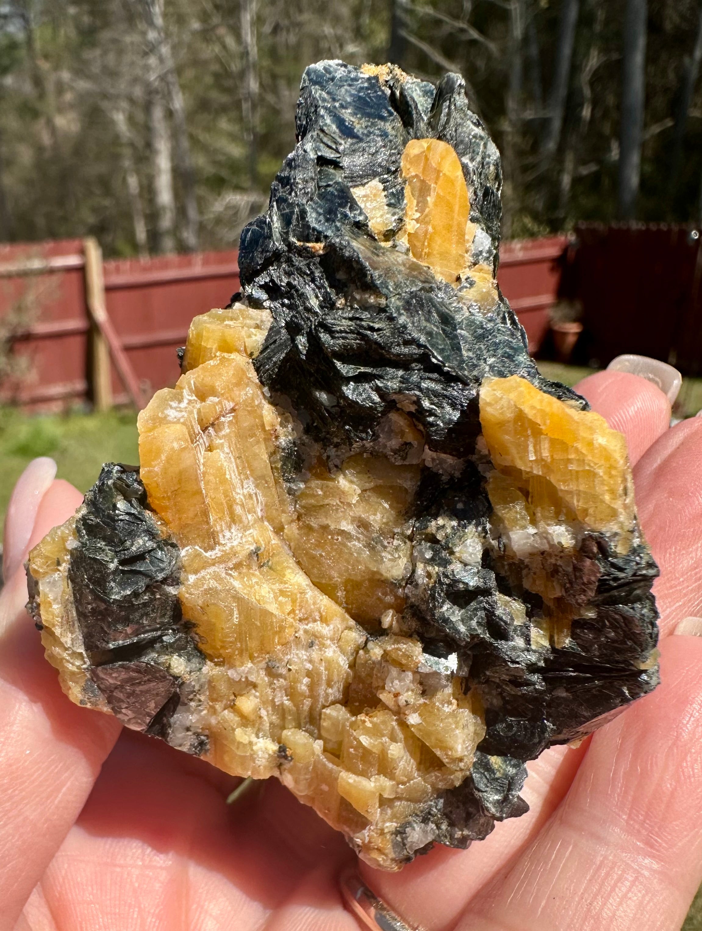 Brazilian Yellow Tourmaline in Biotite