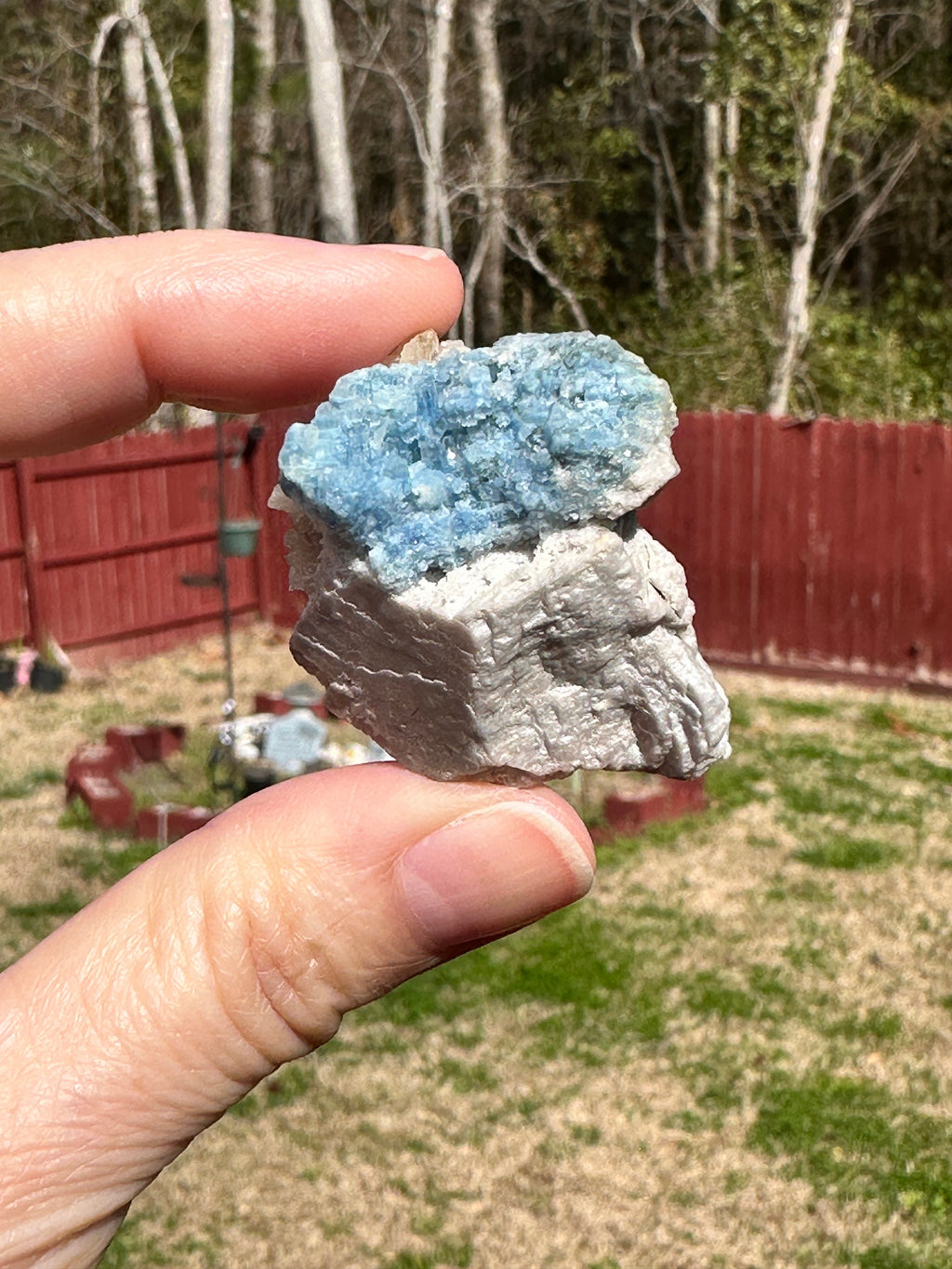 24 Grams / 120 cts Rare Rich Blue Alkali Beryl Crystal Bunch on Albite matrix from Afghanistan