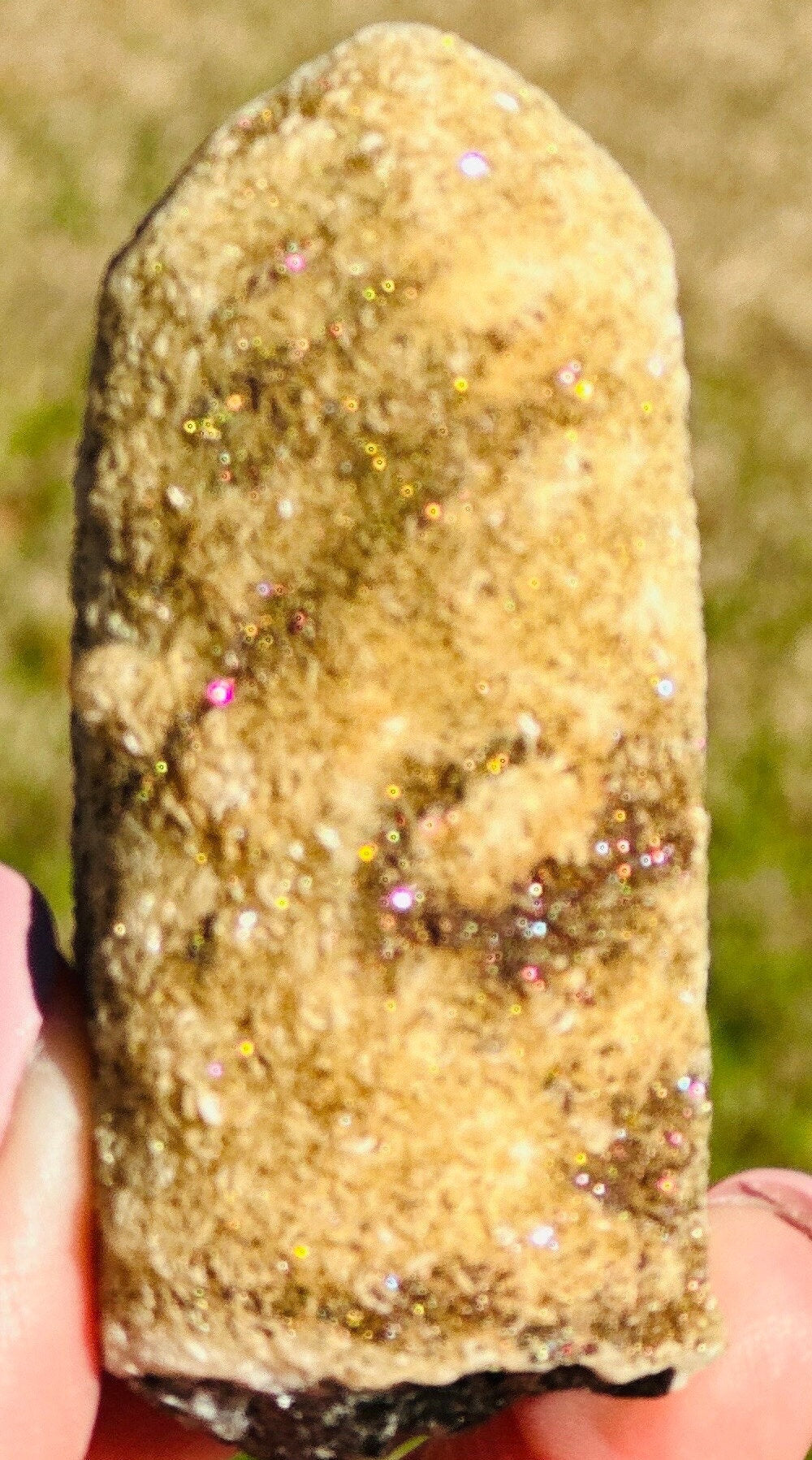 91 Grams Black Morion Quartz covered with Siderite scales and Irrisdecent Chalcopyrite patches
