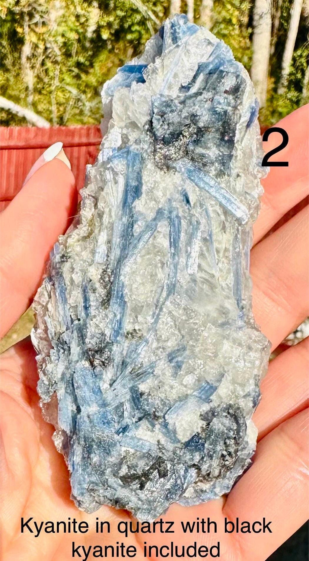 Your Choice of Paraiba Blue Kyanite in Quartz