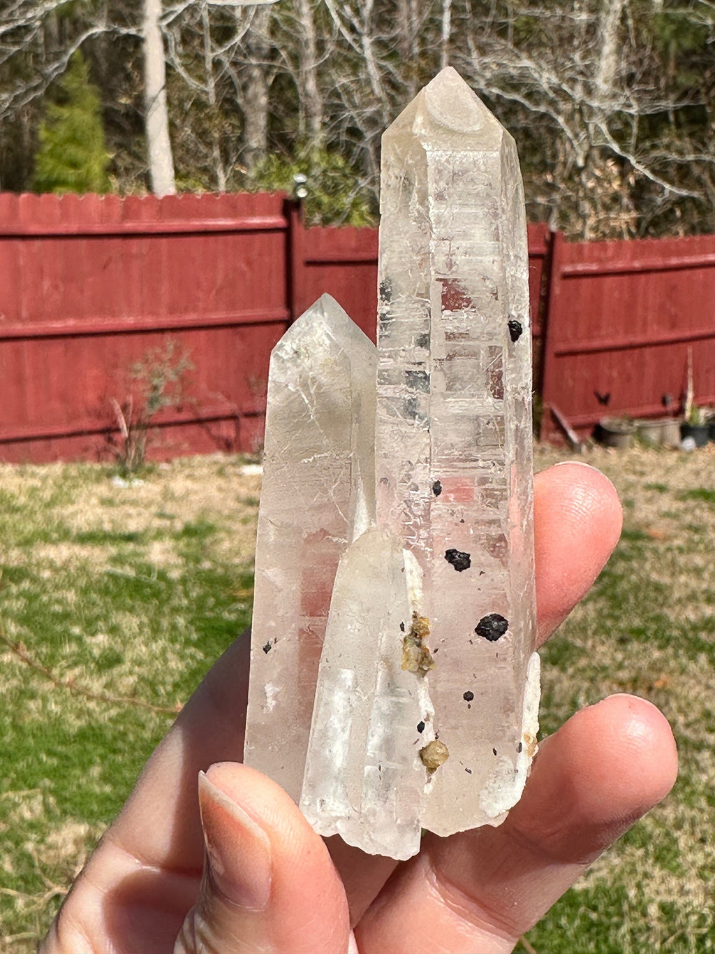 125 Grams Clear Quartz Point with mini Specularite Rosettes