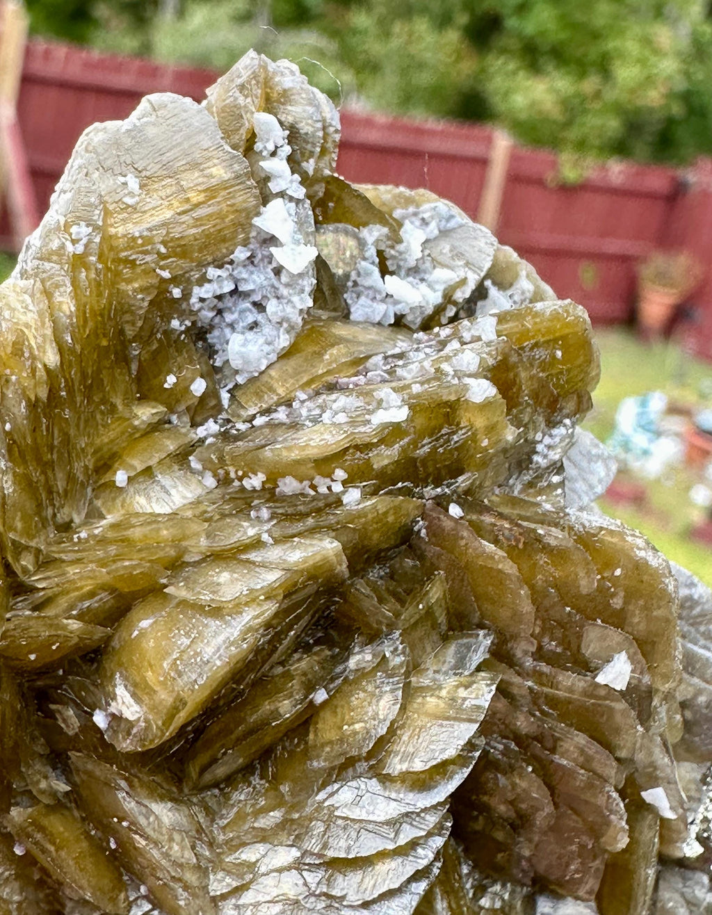 333 Grams Military Green Siderite Rosette with Dolomite, Earth’s Quiet Armor from Bijie Provence, Juizhou, China