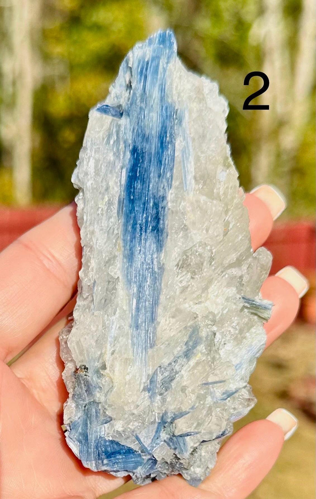Your Choice of Paraiba Blue Kyanite in Quartz
