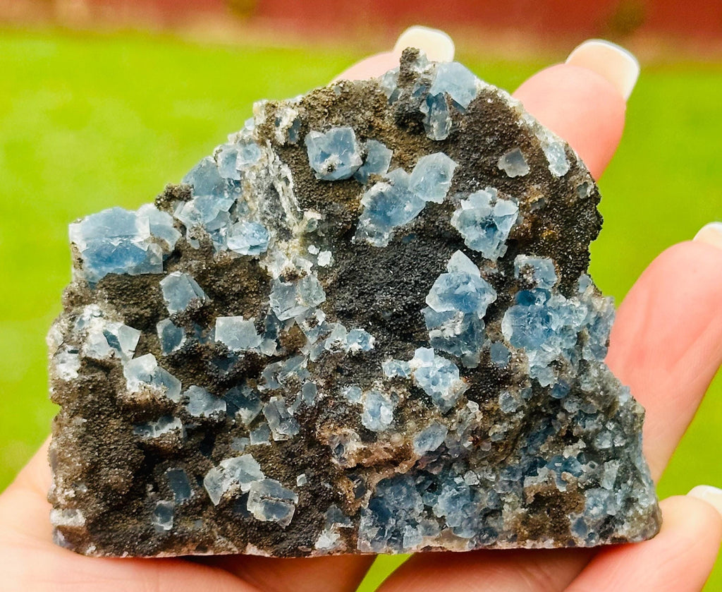 144 Grams Uncommon Self Standing Blue cubic Fluorite formed on a bed of Smokey Druzy Quartz