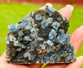 144 Grams Uncommon Self Standing Blue cubic Fluorite formed on a bed of Smokey Druzy Quartz