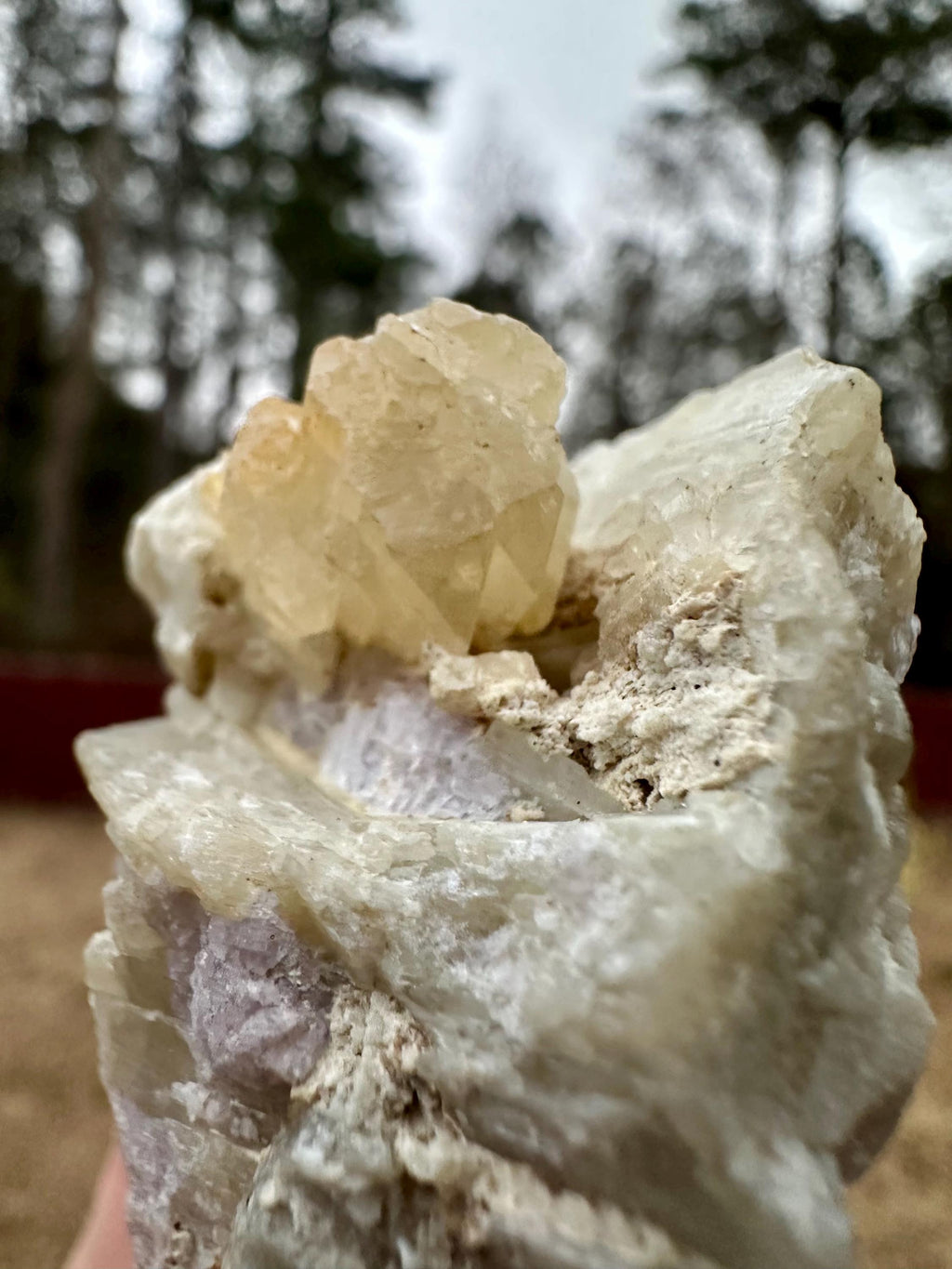 114 grams Rare Combo Winchite in Hackmanite Matrix from Afghanistan