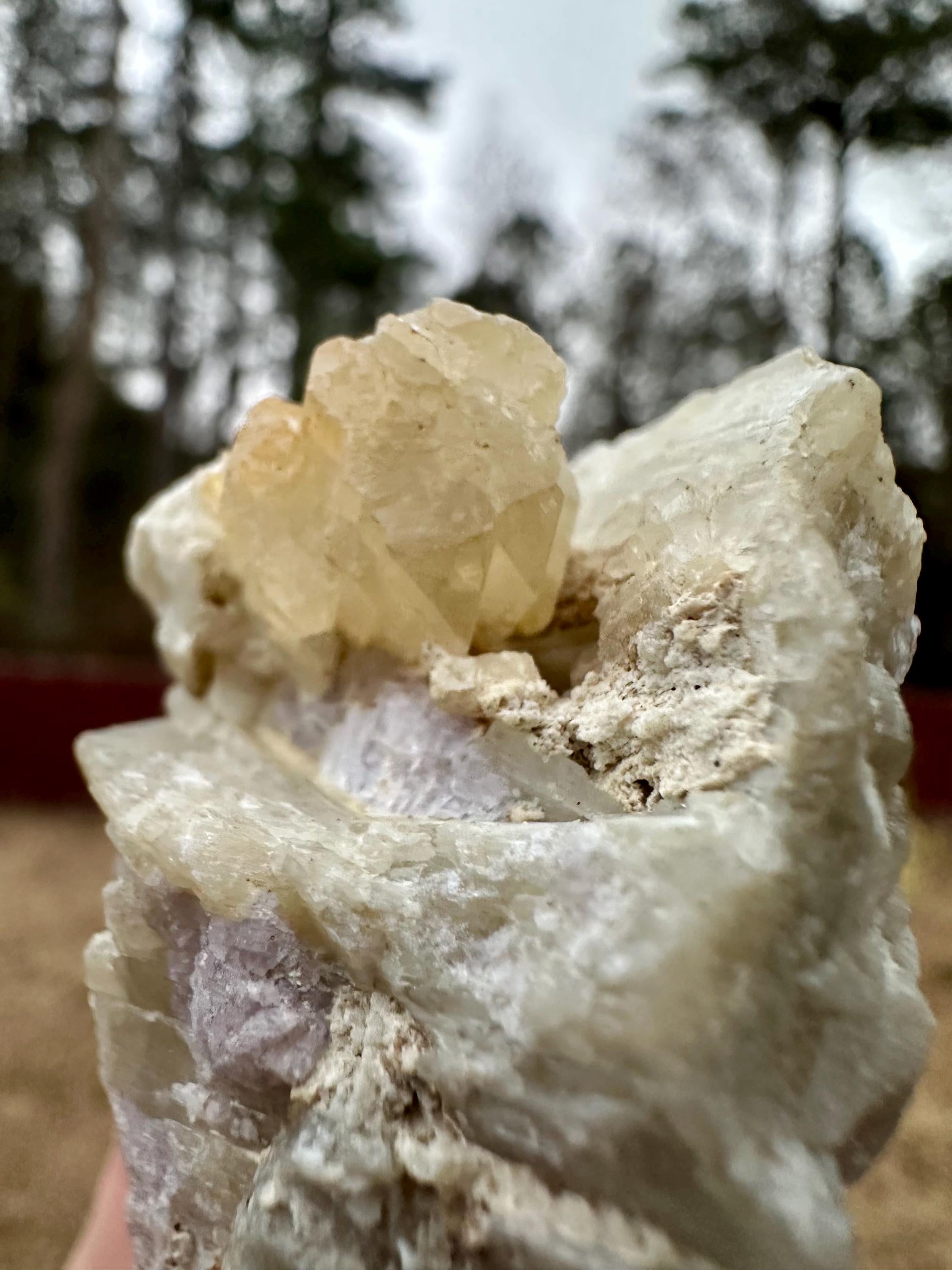 114 grams Rare Combo Winchite in Hackmanite Matrix from Afghanistan