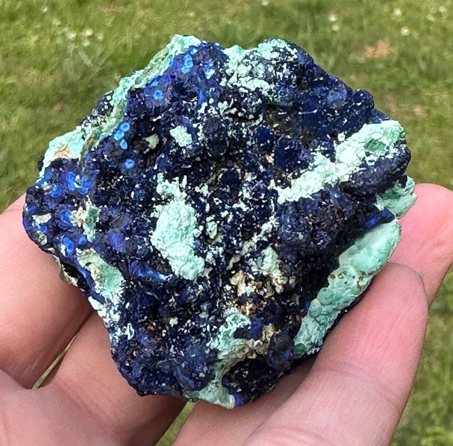 118 Grams Amazing Azurite Crystals and “Blueberries “ Cluster in Chrysocolla with some Orbicular Zoning