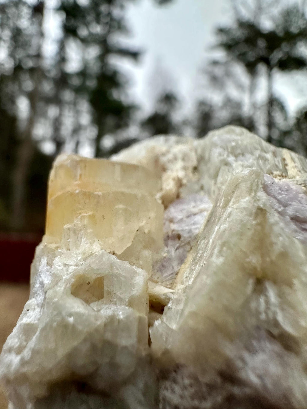 114 grams Rare Combo Winchite in Hackmanite Matrix from Afghanistan