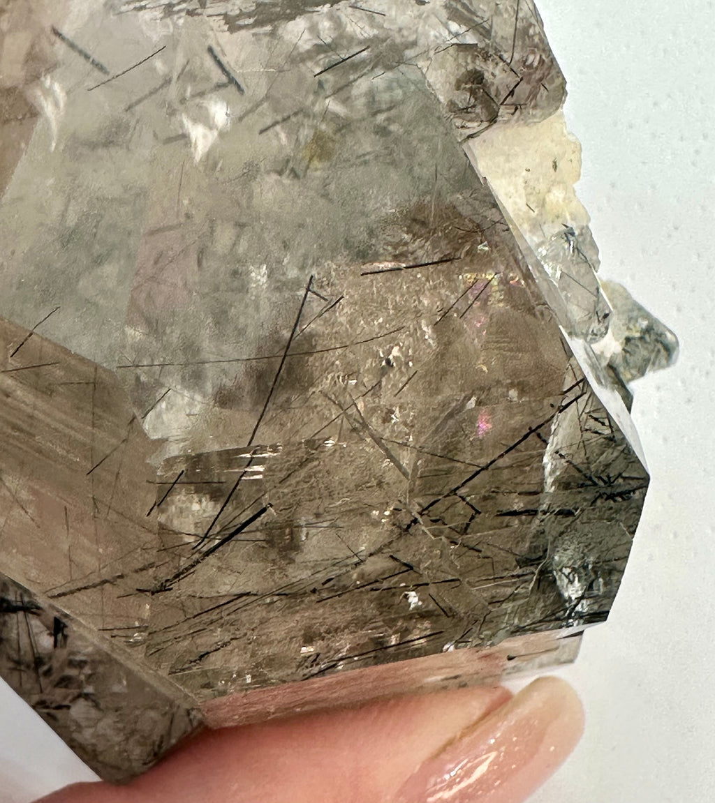 Magnesio-Riebeckite Included Smoky Quartz with Rainbows Point, Sagi Mountain