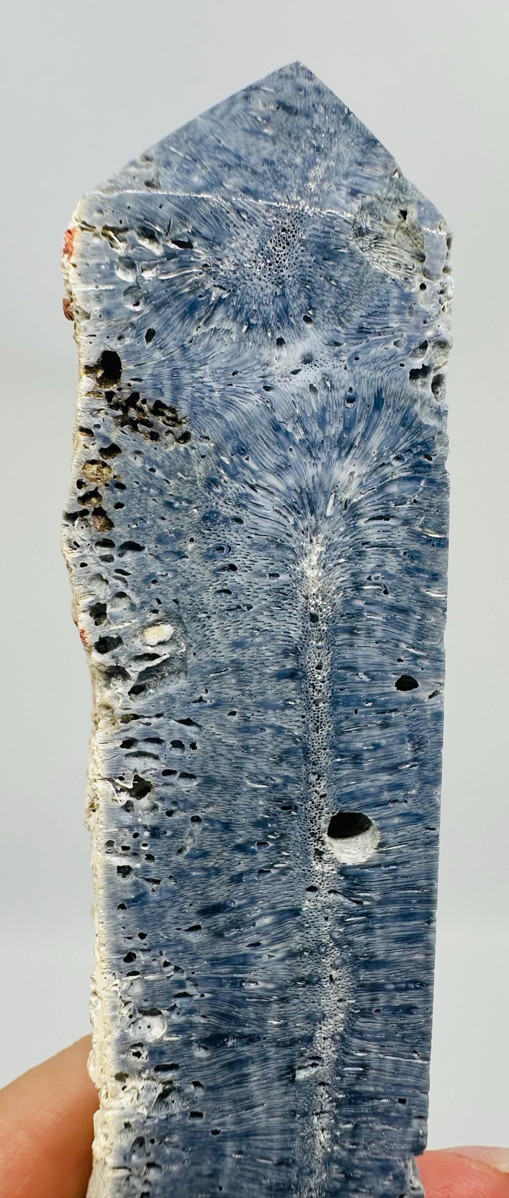 Blue Coral Crystal Set from Indonesia