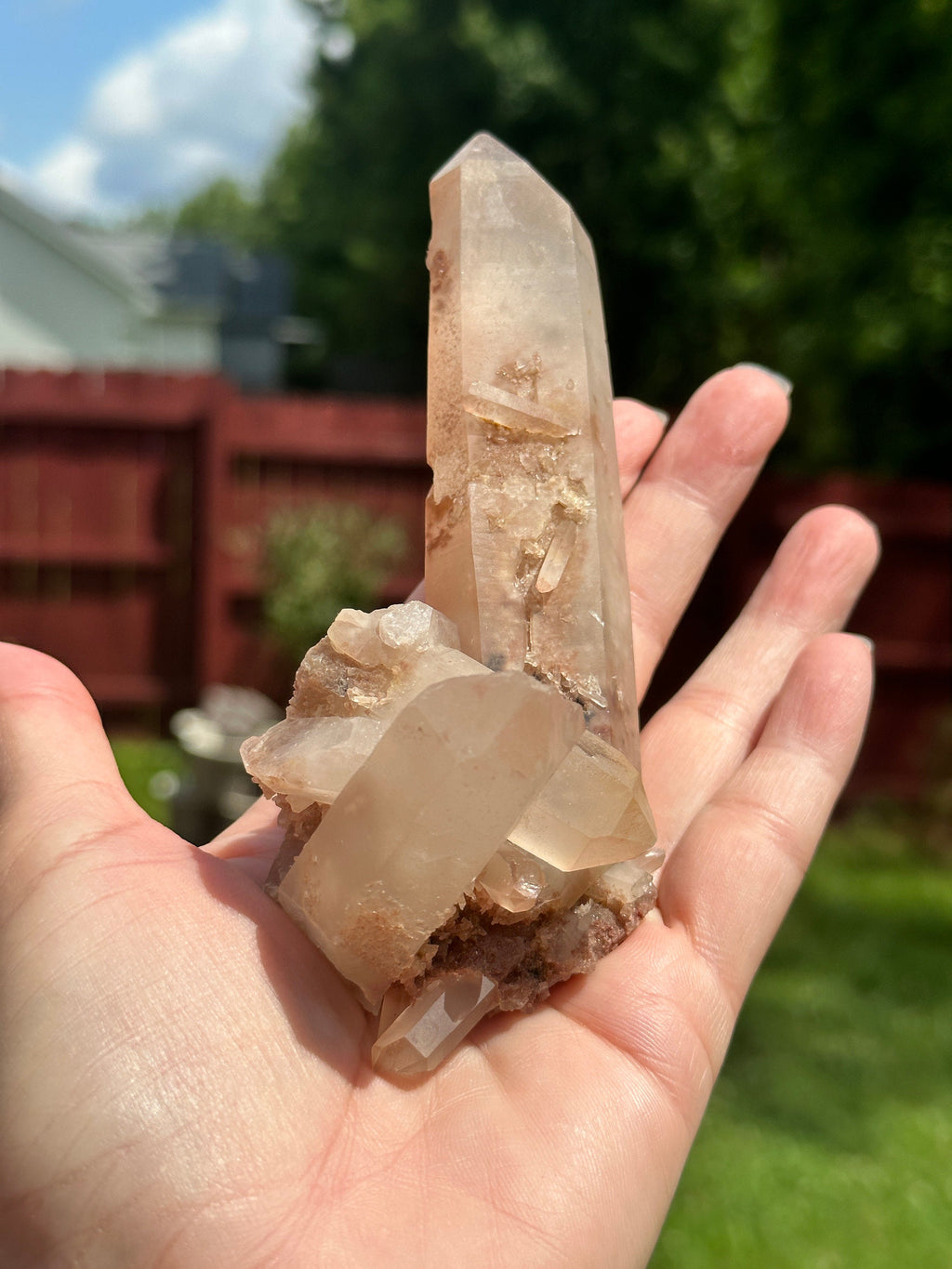 227 Grams Stunning Rich Pink Color Lithium Quartz "nest" Cluster from Brazil
