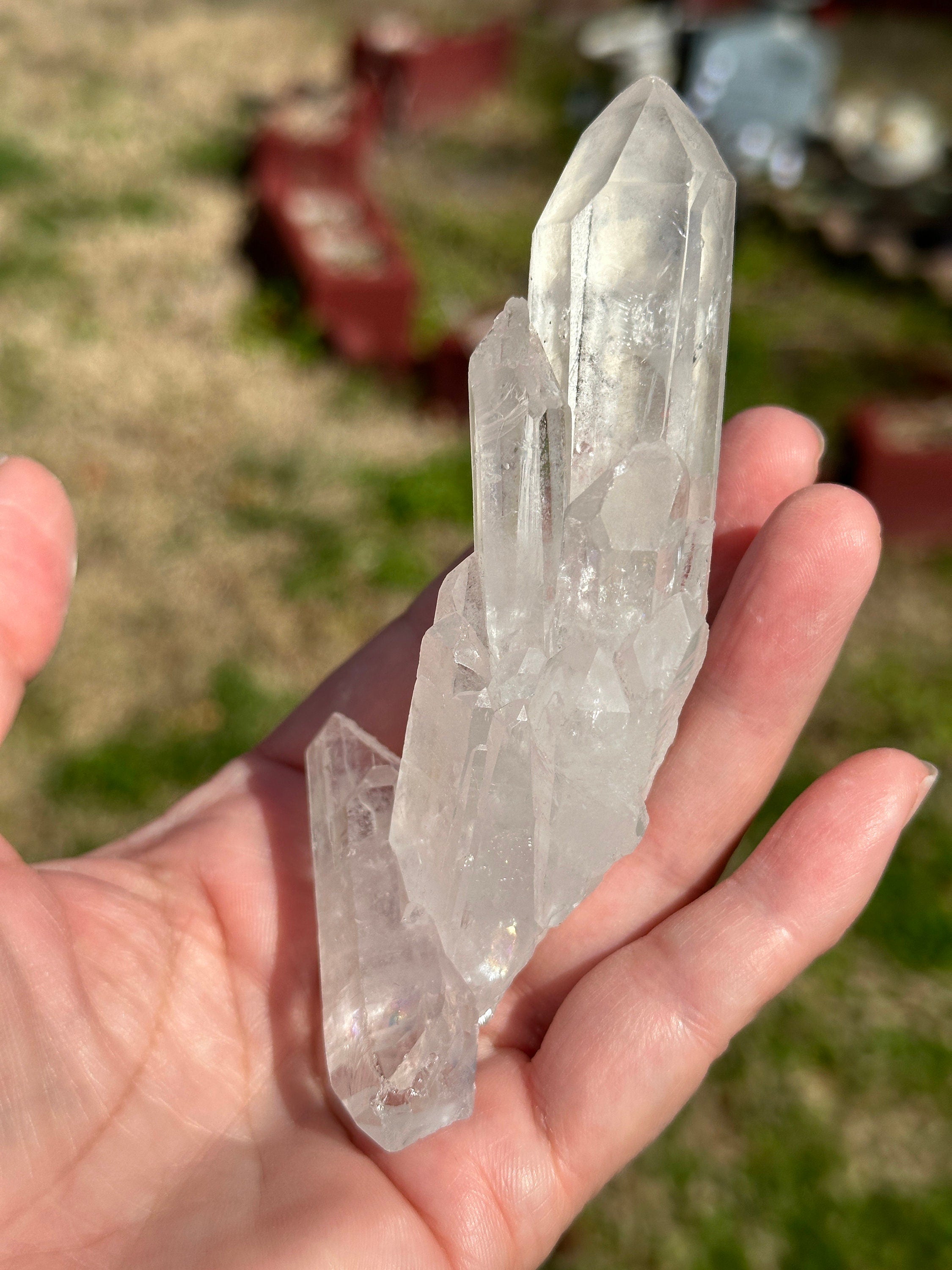 157 Grams Beautiful and Very Special Starbrary Point in a  Clear Quartz Cluster of several DT points.