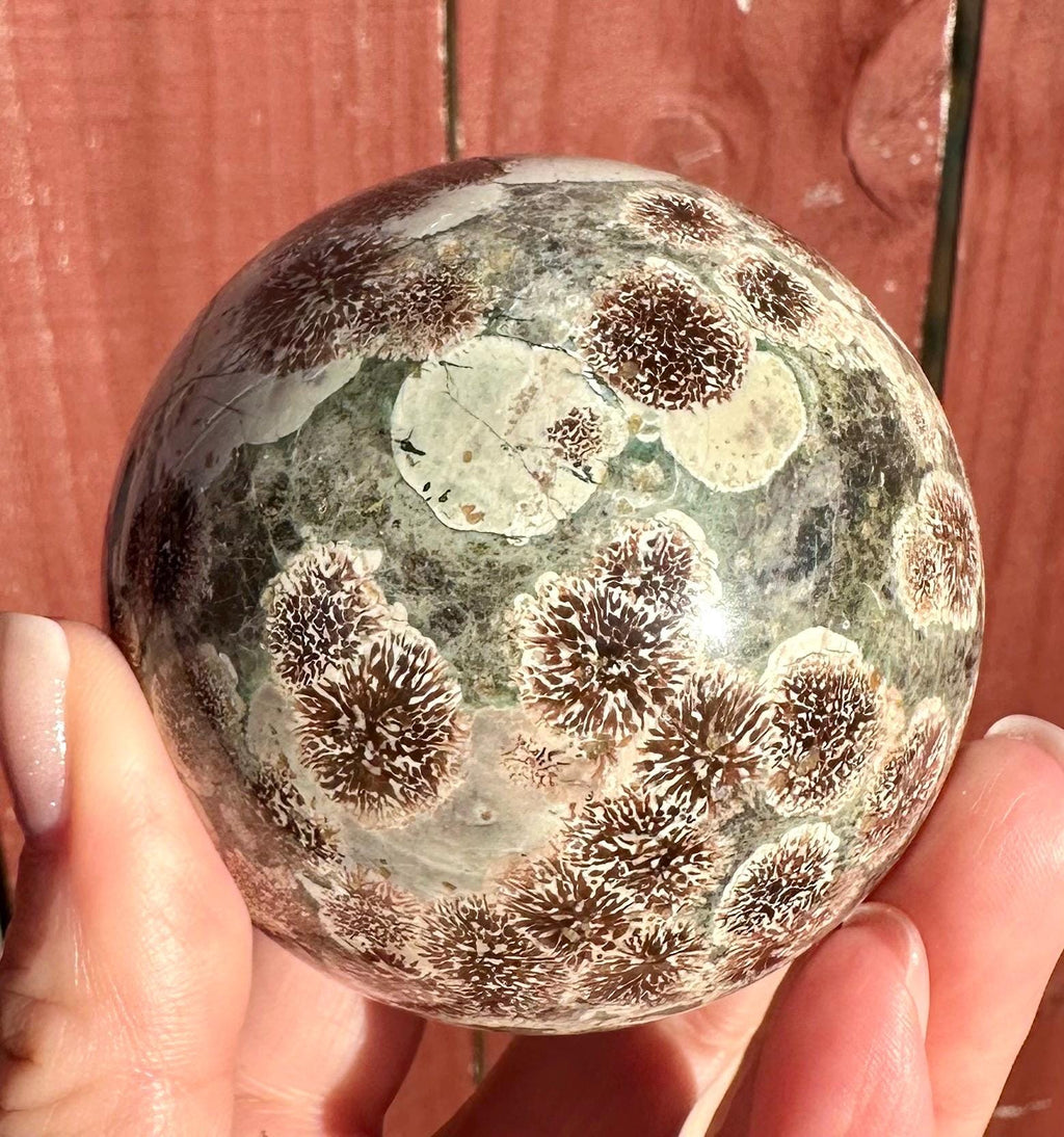 Beautiful Russian Flower Agate Angel Wings & Sphere Set sourced from Madagascar