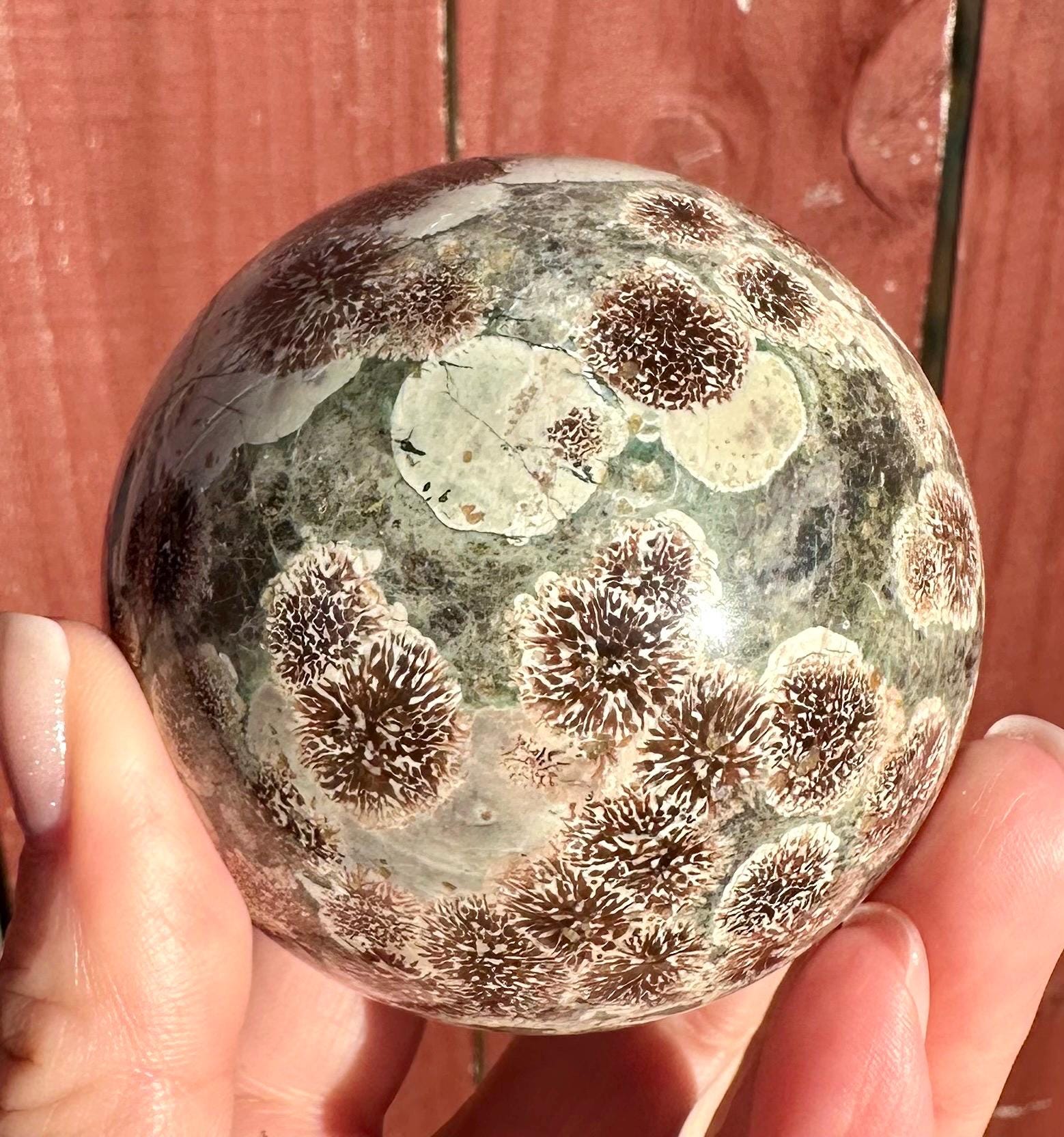 Beautiful Russian Flower Agate Angel Wings & Sphere Set sourced from Madagascar