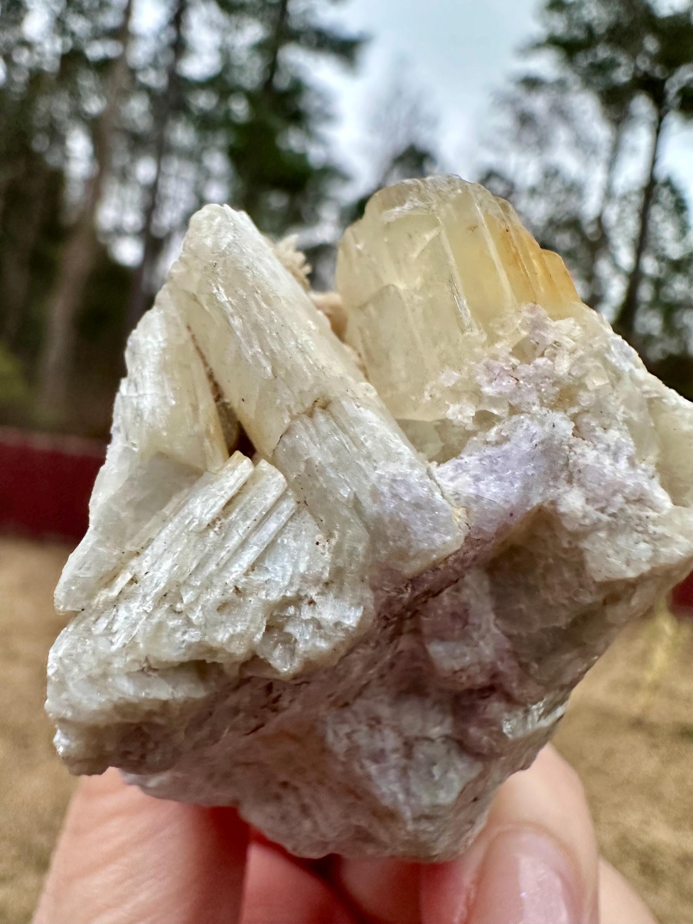 114 grams Rare Combo Winchite in Hackmanite Matrix from Afghanistan