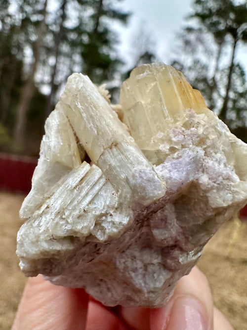 114 grams Rare Combo Winchite in Hackmanite Matrix from Afghanistan