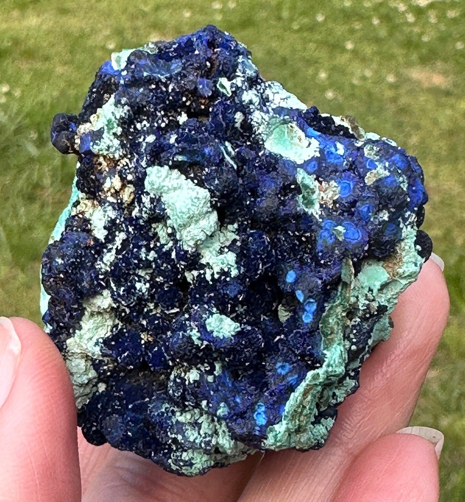 118 Grams Amazing Azurite Crystals and “Blueberries “ Cluster in Chrysocolla with some Orbicular Zoning
